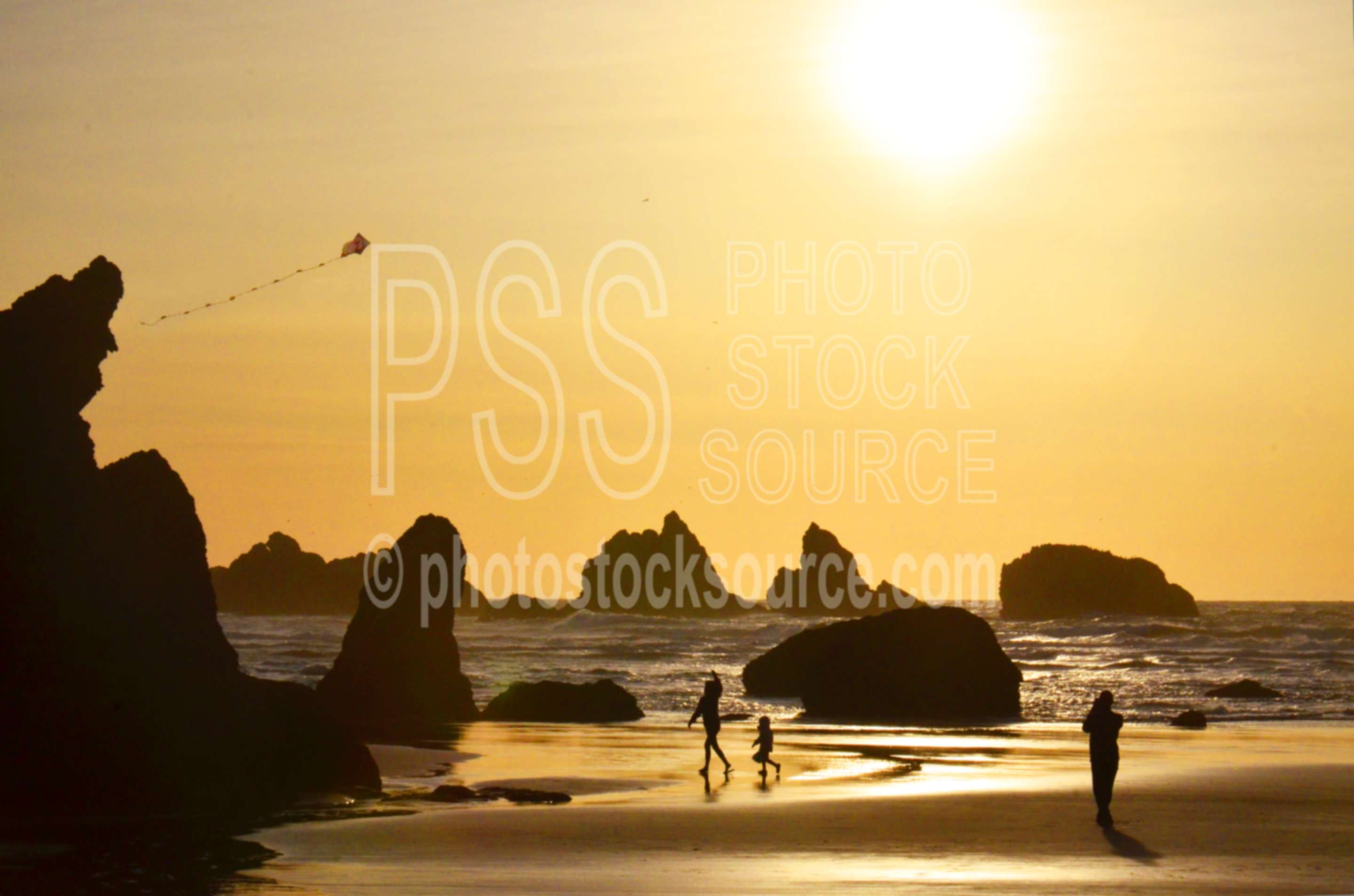 Family Flying Kite at Sunset,beach,kite,flying,family,people,playing,rocks,sunset