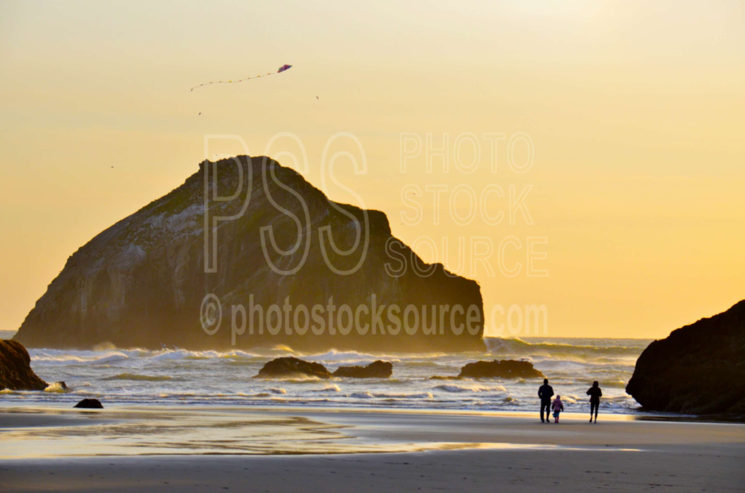Flying Kite at Face Rock,beach,kite,flying,family,people,playing,rocks,sunset,face rock
