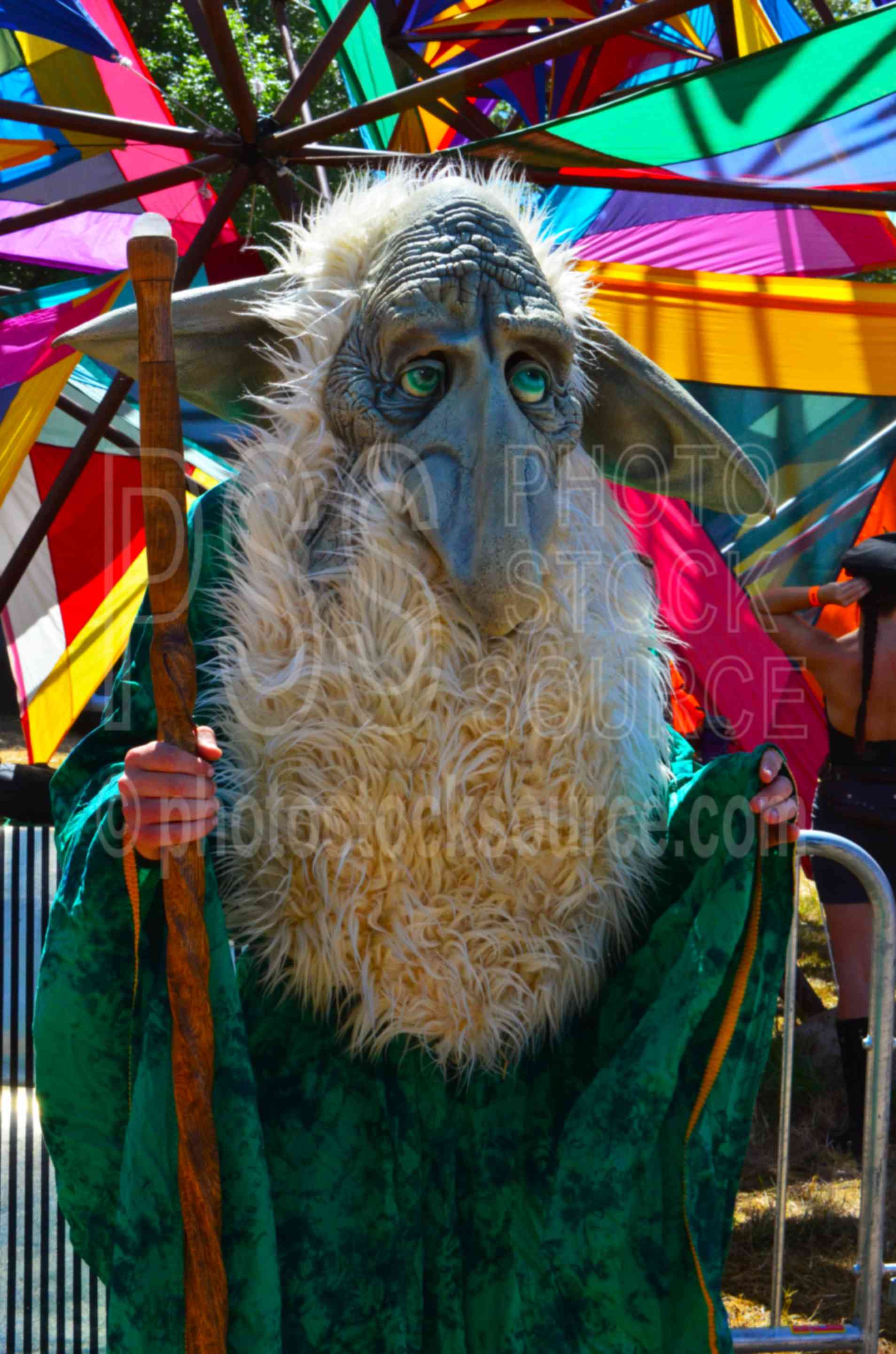 Costumes at Country Fair,costume,fair,festival,entertainment