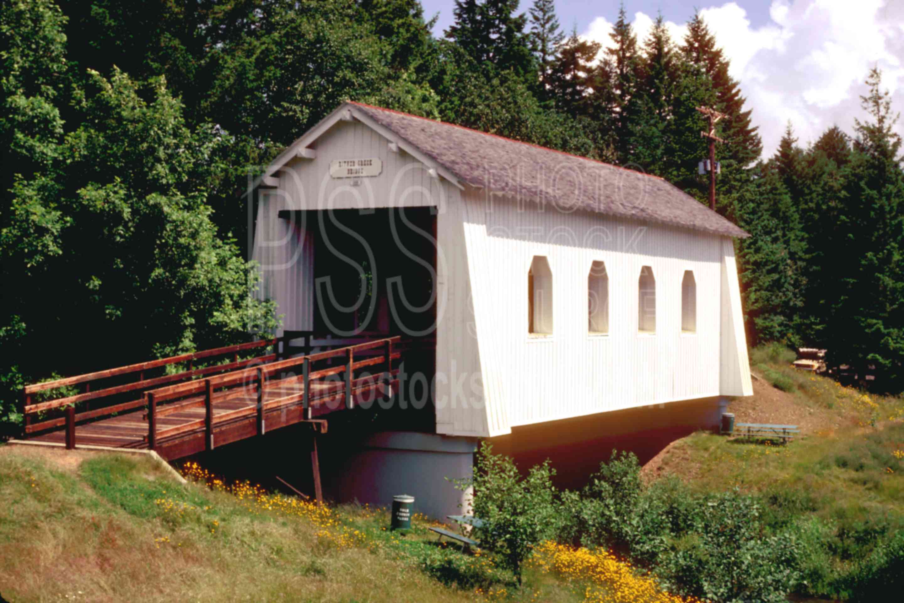 Kings Valley,covered bridge,usas,architecture,bridges