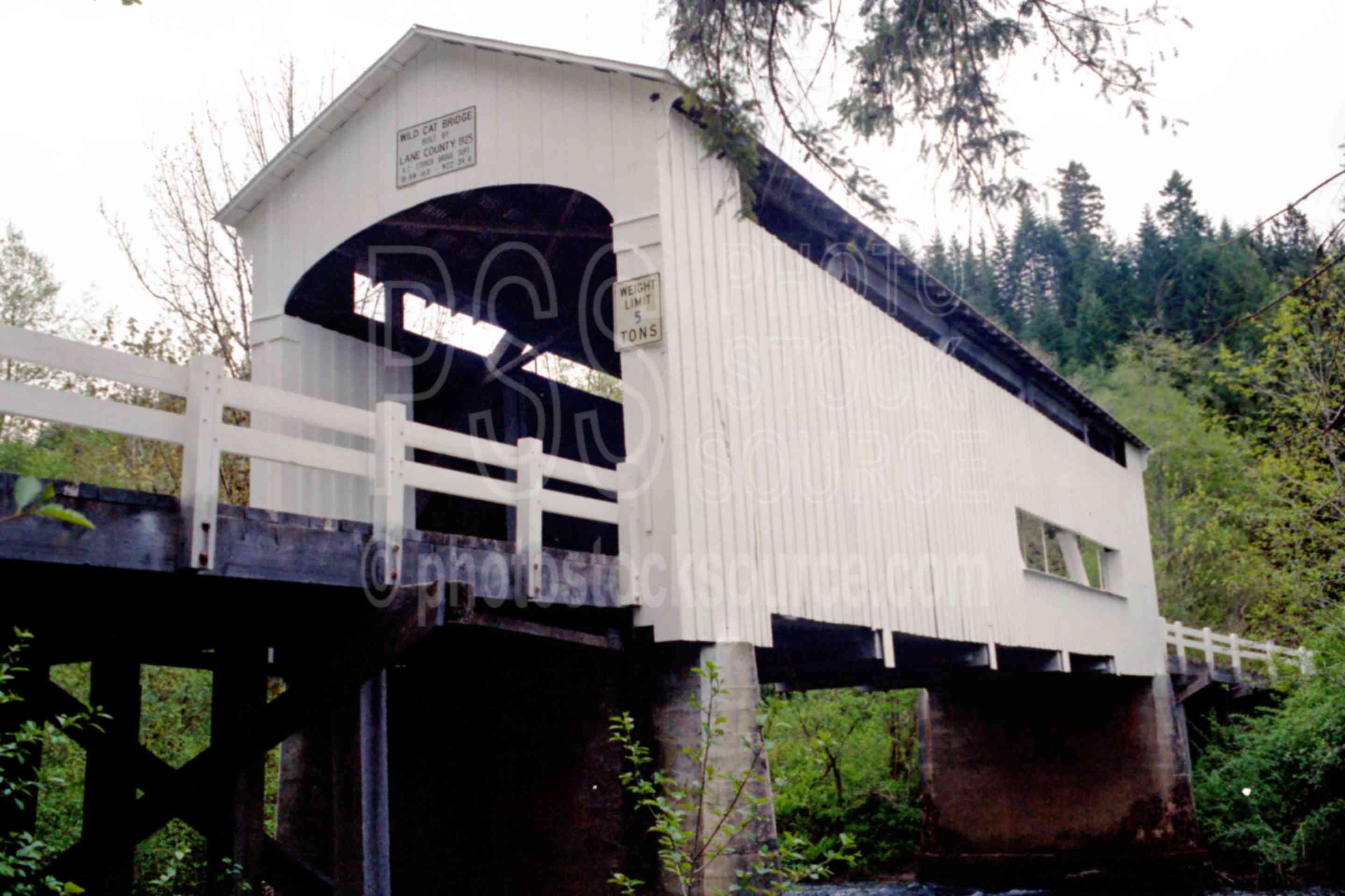 Wildcat Covered Bridge,covered bridge,river,siuslaw river,wildcat bridge,usas,lakes rivers,architecture,bridges