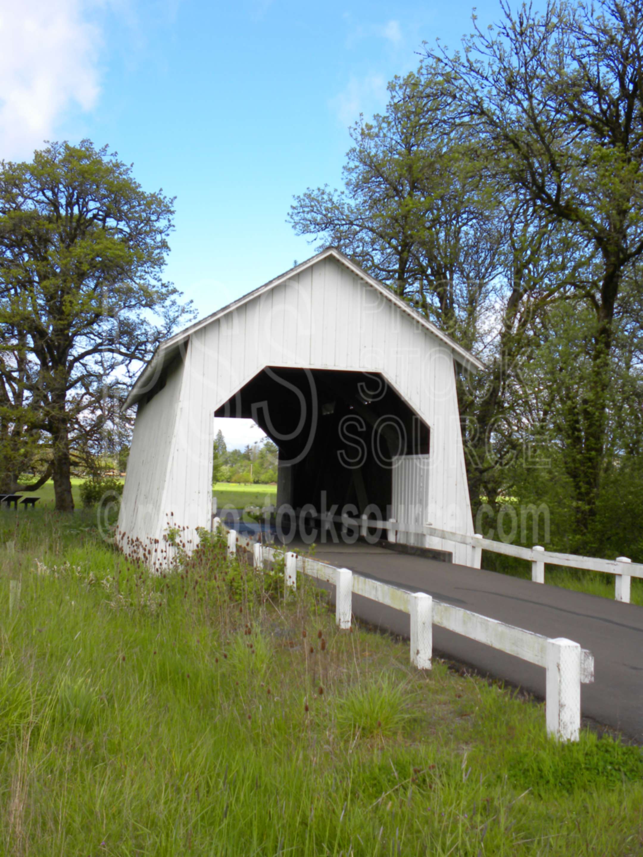 Irish Bend Bridge,bridge,covered,wooden,road,roof,crossing,americana