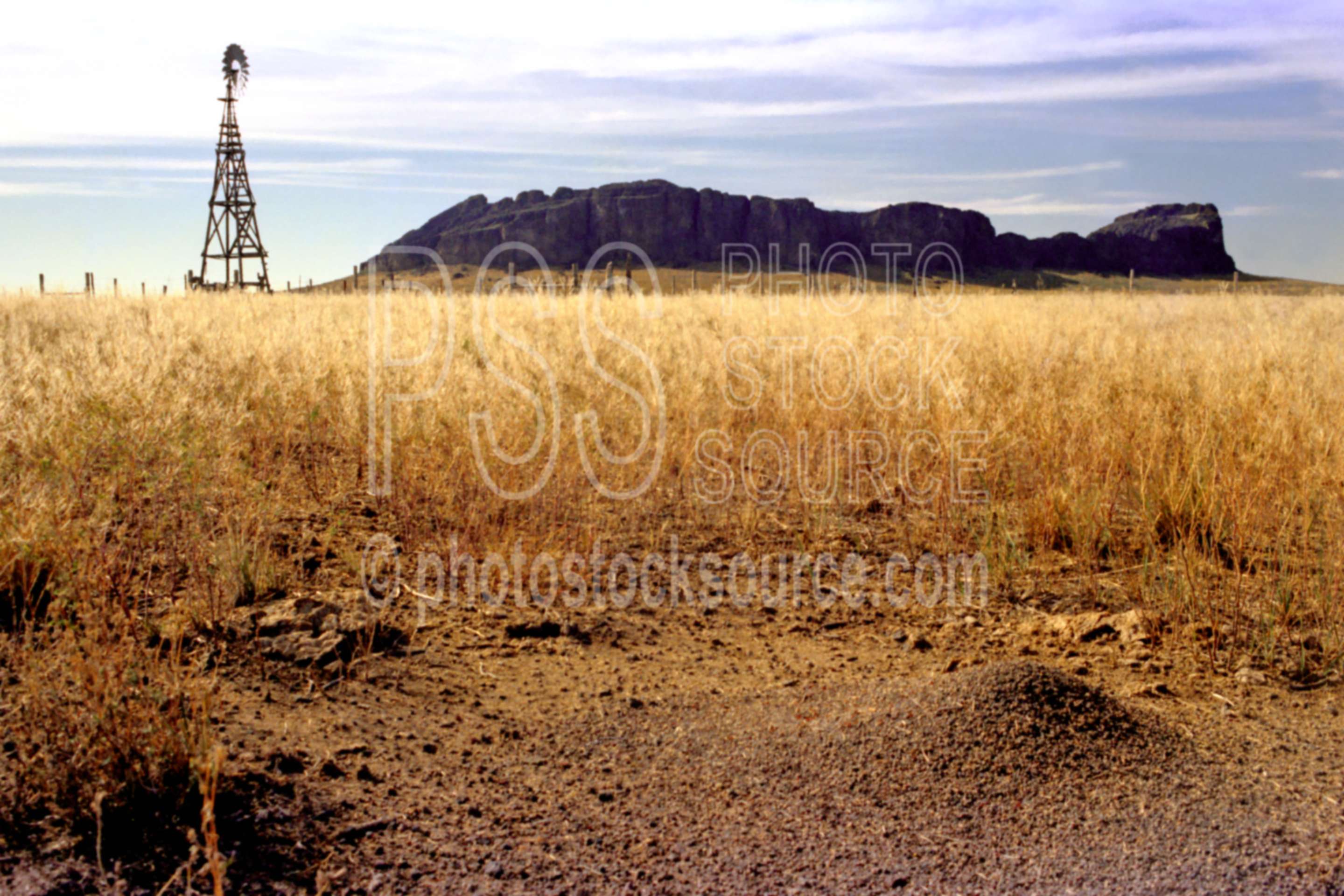 Windmill and Ant Hill,ants,ant hill,farm,ranch,windmill,usa windmills