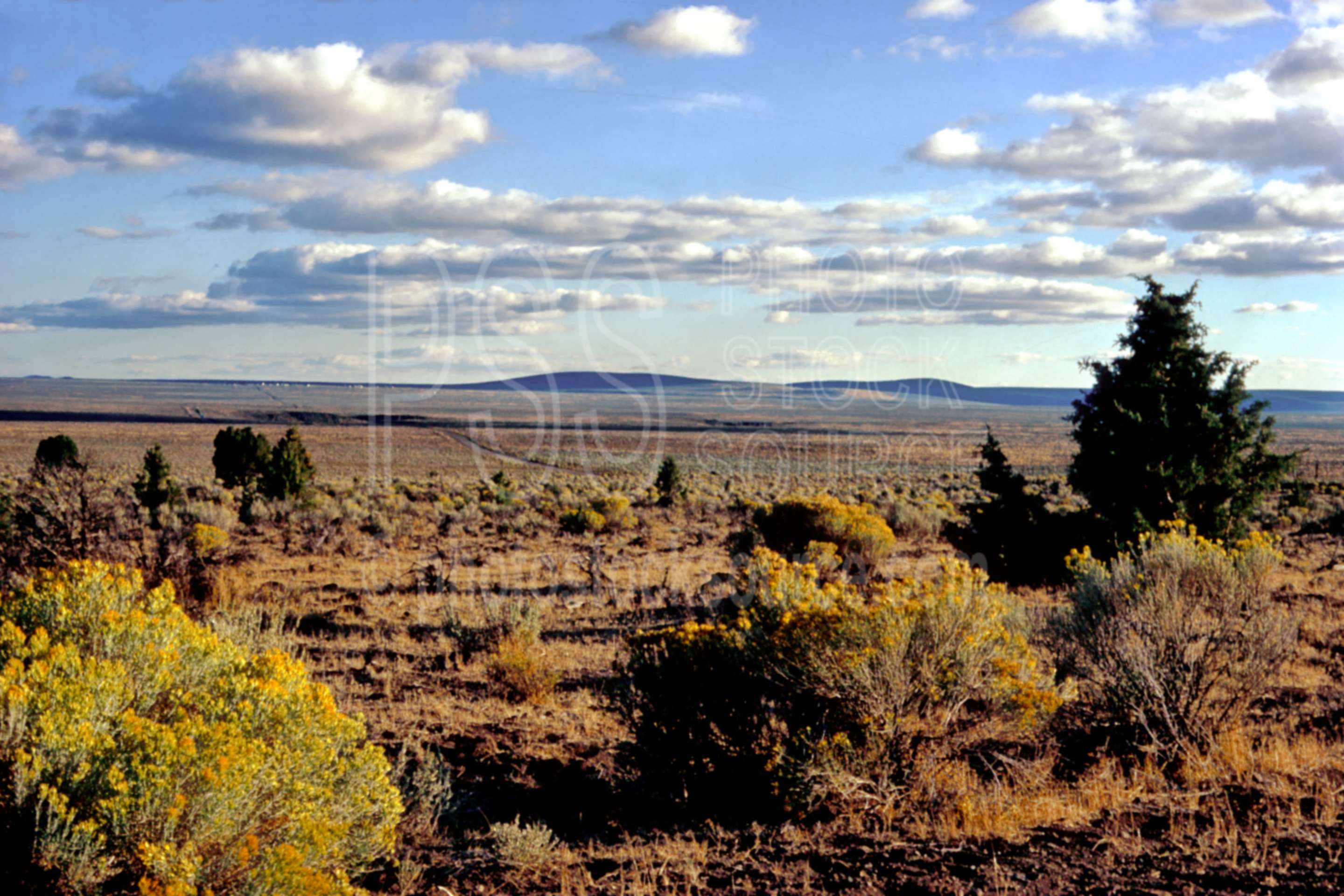 Prairie Afternoon,cloud,prairie,sagebrush,usas,landscapes