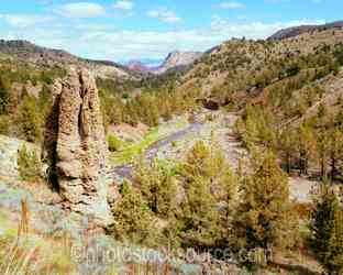 Oregon Desert gallery