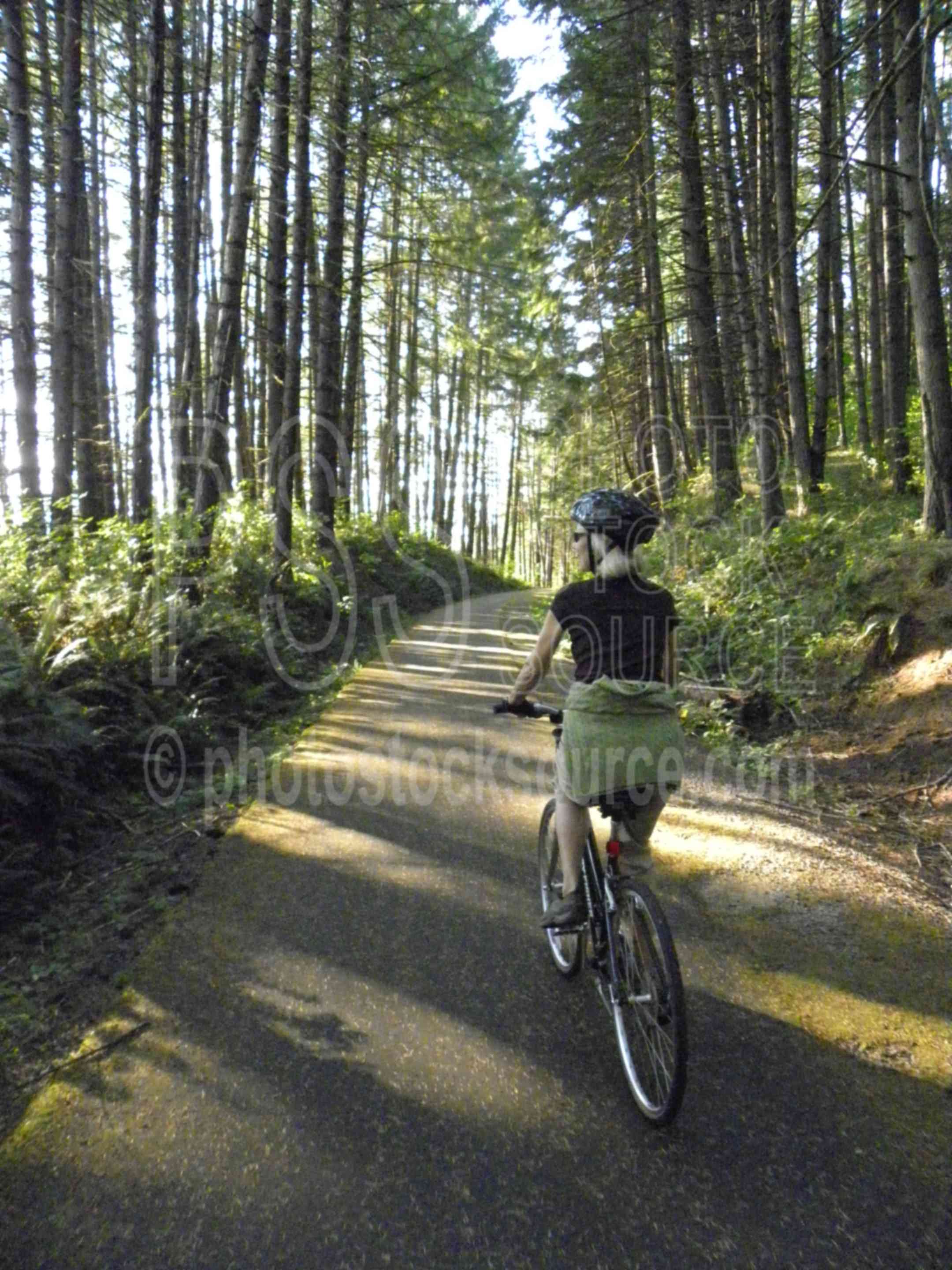 Dorena Bike Path Rider,people,woman,ride,rider,riding,bike,biking,path,trail,bikepath,forest,recreation