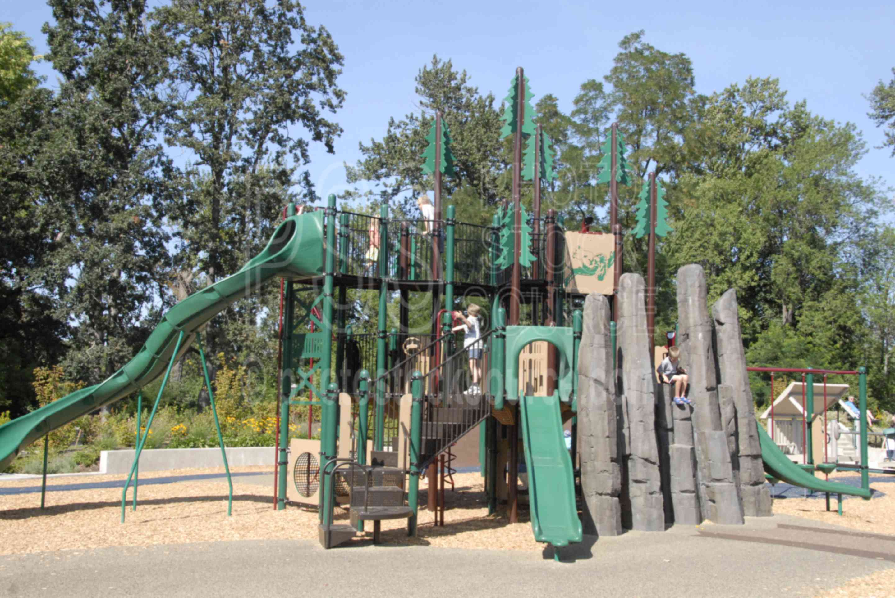 Skinner Butte Park,play,children,playing,slide,recreation,park