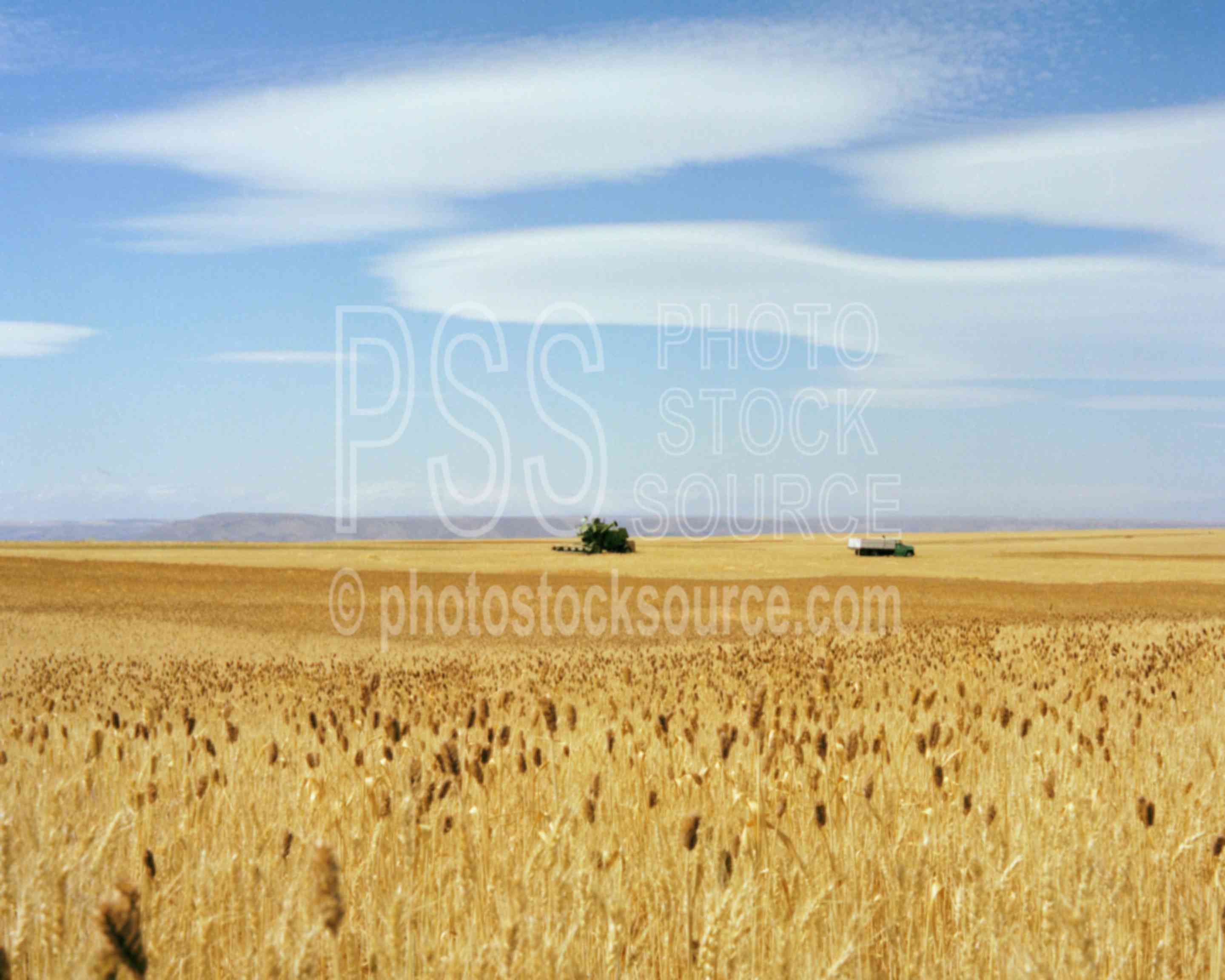 Combine in Barley Field,barley,combine,grain,usas,farms