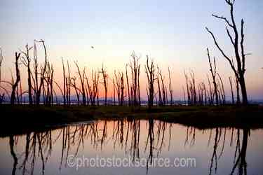 Oregon Lakes gallery