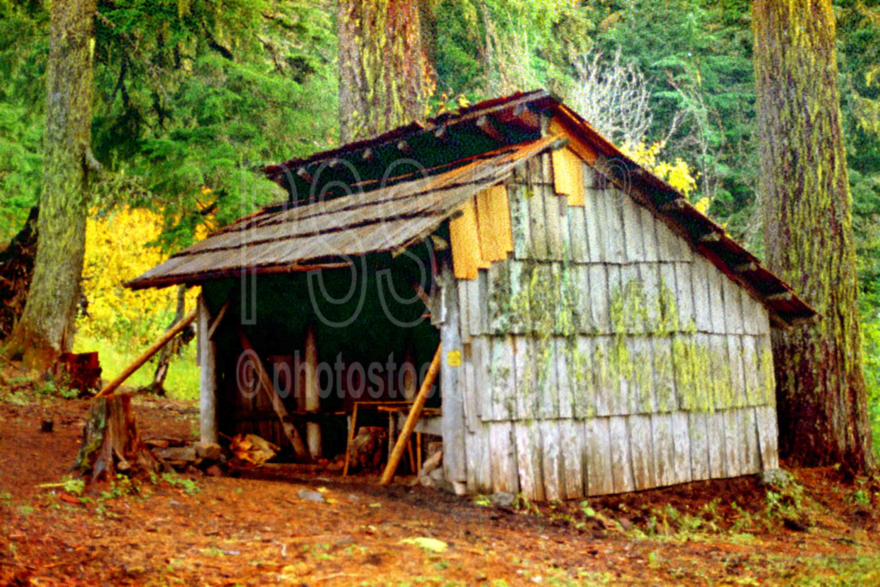 Little Blanket Shelter,saddleblanket mt.,usas,nature