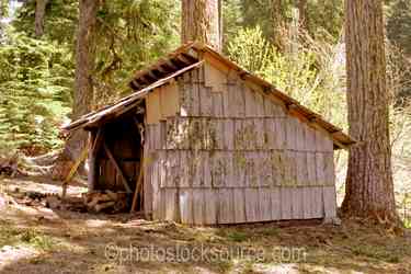 Oregon Forests gallery