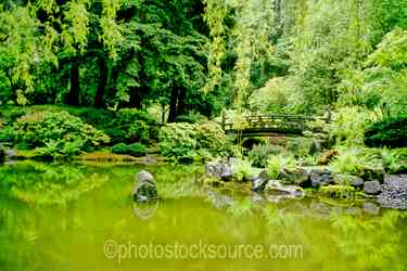 Oregon Gardens gallery