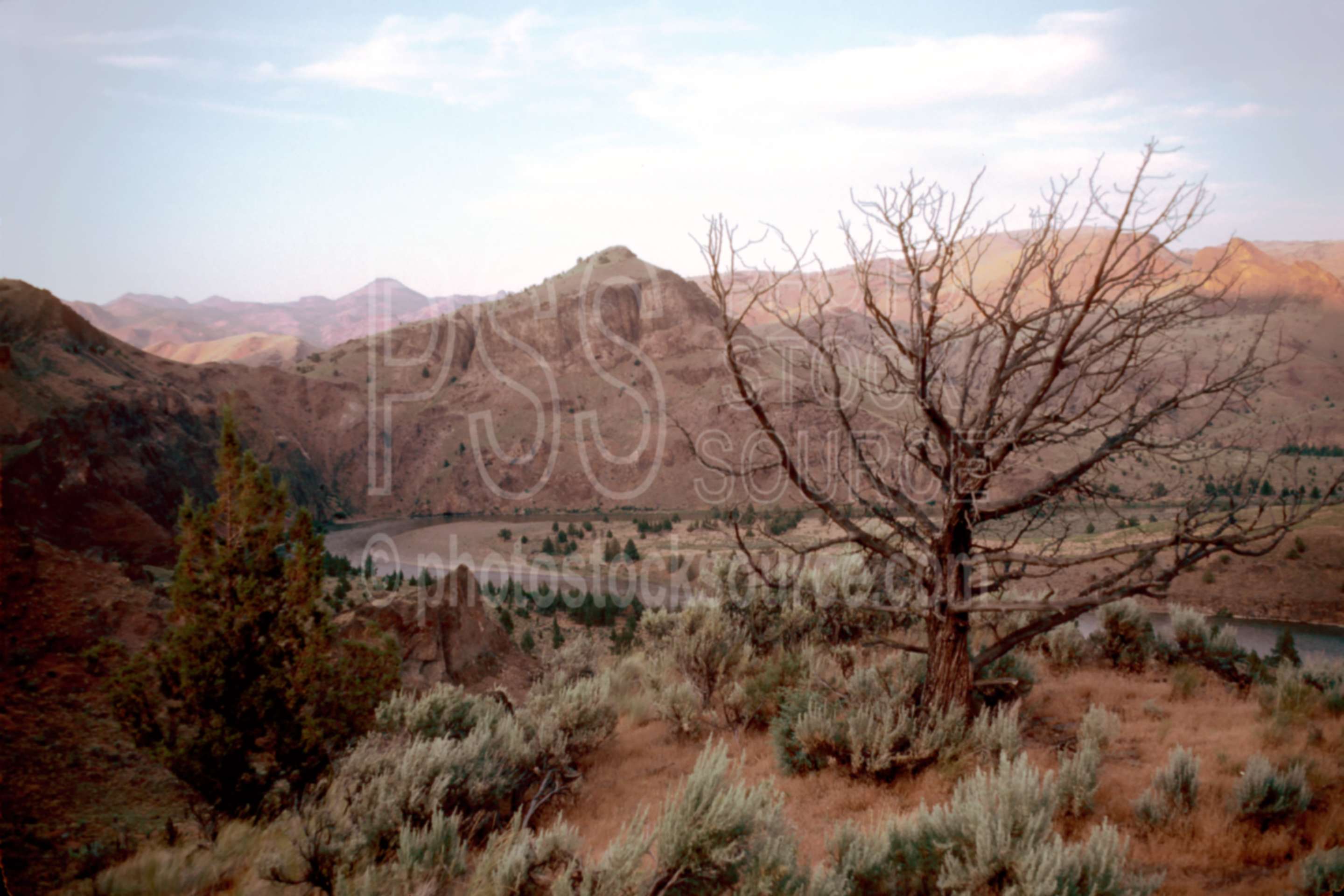 John Day River,gorge,juniper,usas,lakes rivers