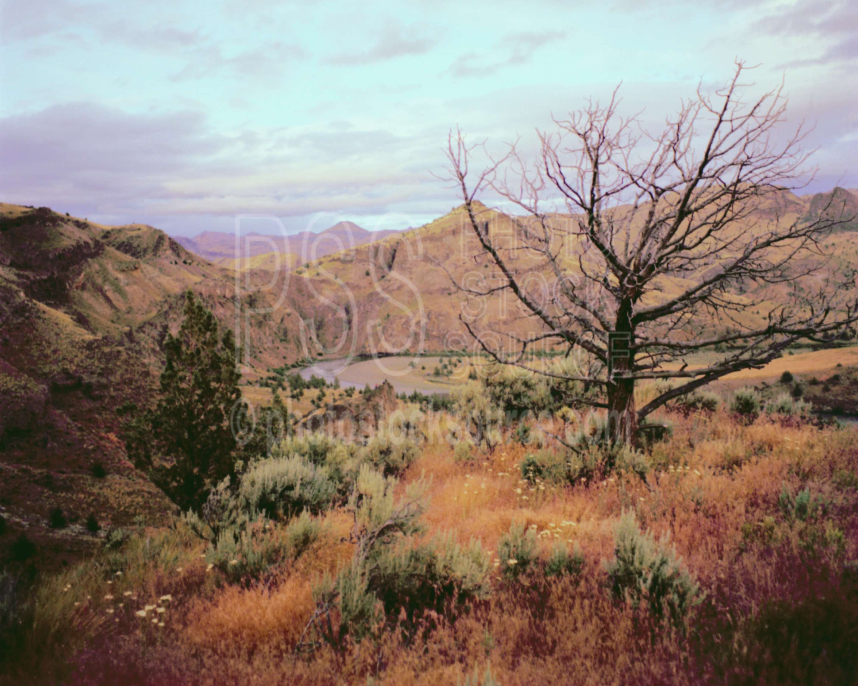 John Day River,cloud,sunset,tree,usas,lakes rivers