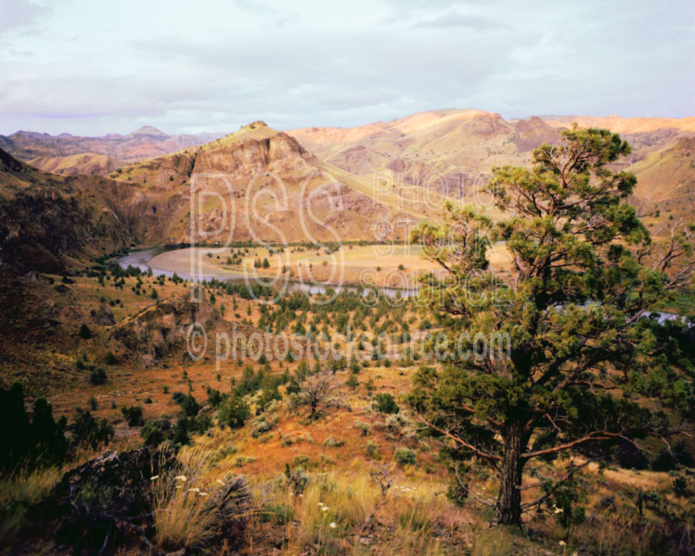 John Day River and Juniper,cloud,john day river,juniper,sunset,tree,usas,lakes rivers