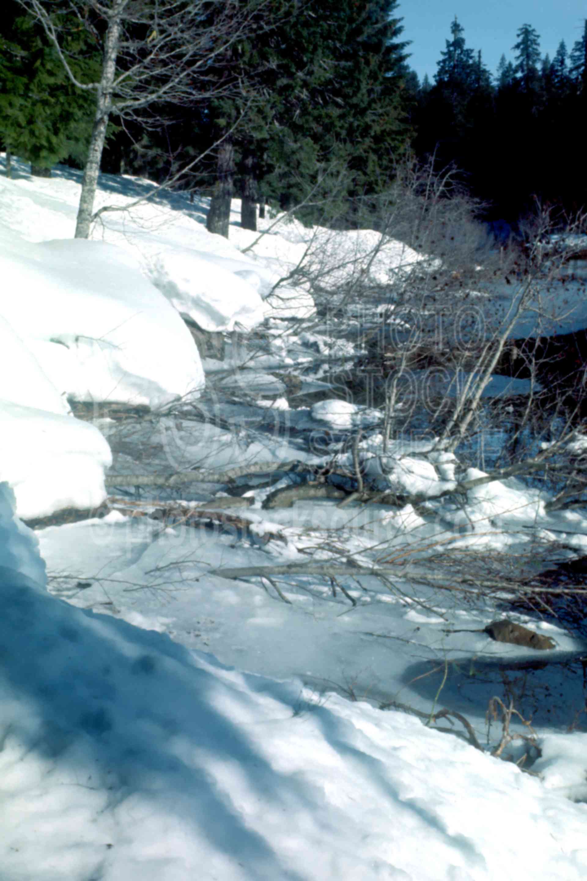 Frozen Lake Shore,clear lake,snow,winter,season,usas,lakes rivers