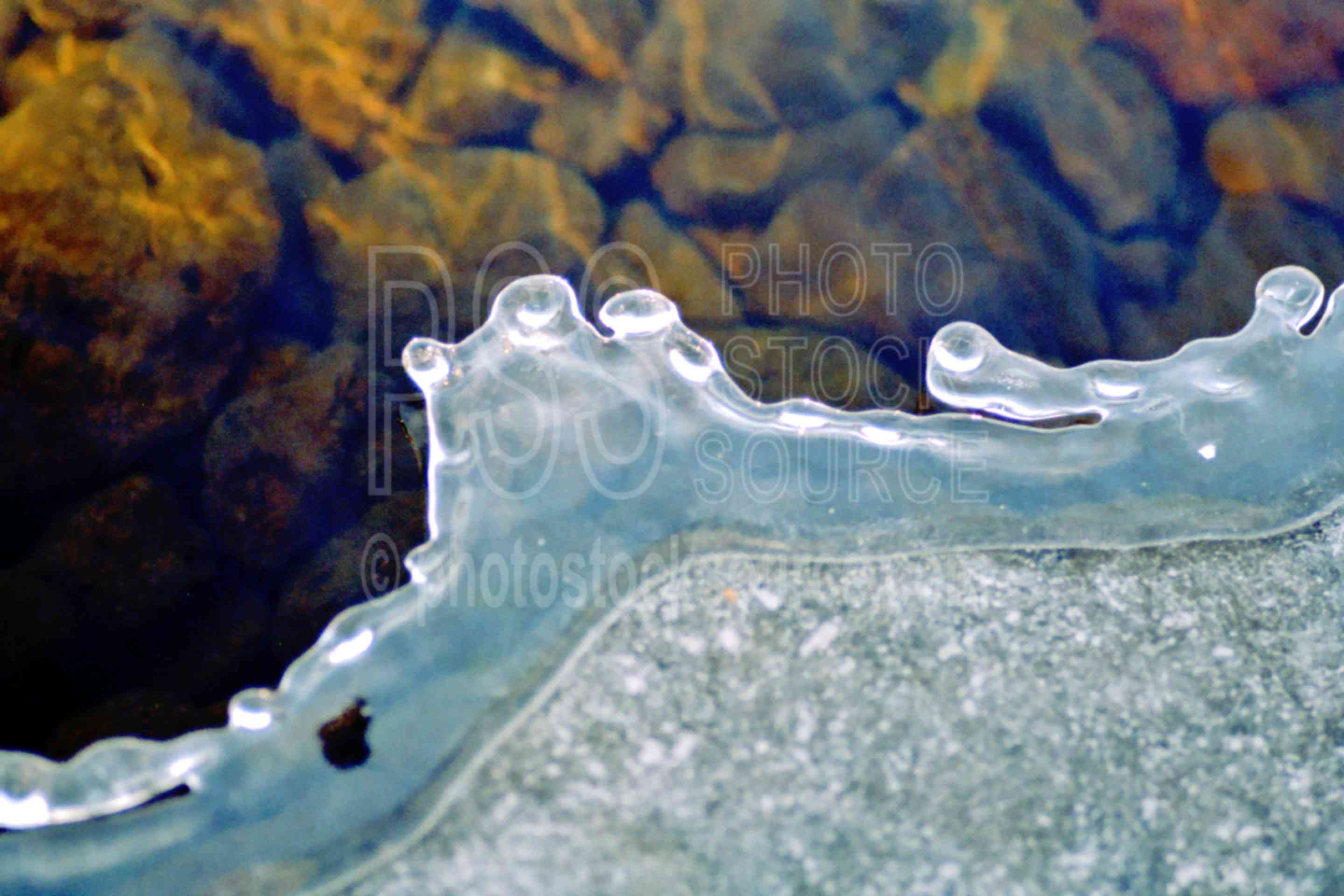 Lake Shore Ice,ices,odell lake,winter,season,usas,lakes rivers