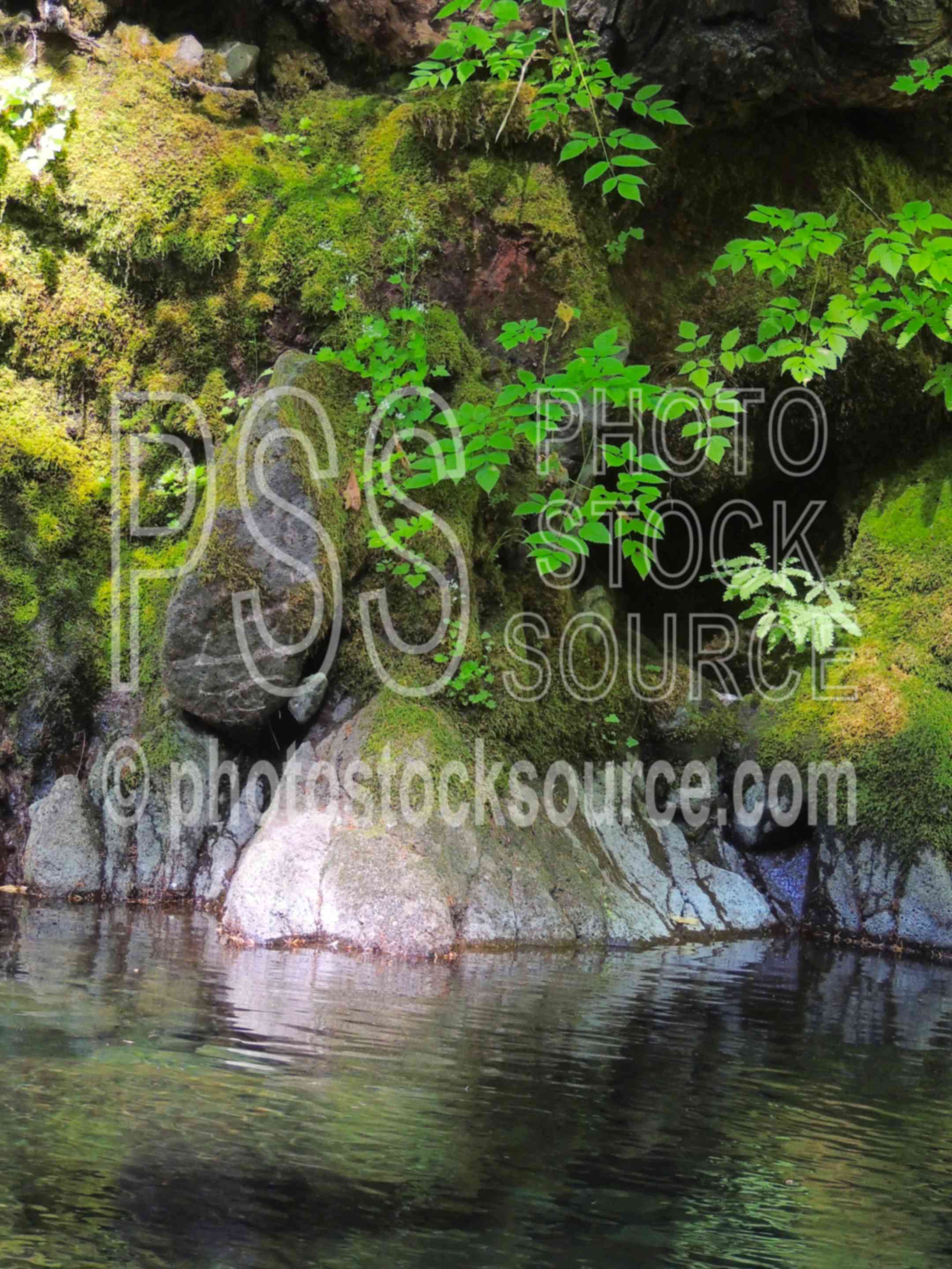 Mossy Rocks at Smith Reservoir,rocks,water,lake,moss,leaves,ferns