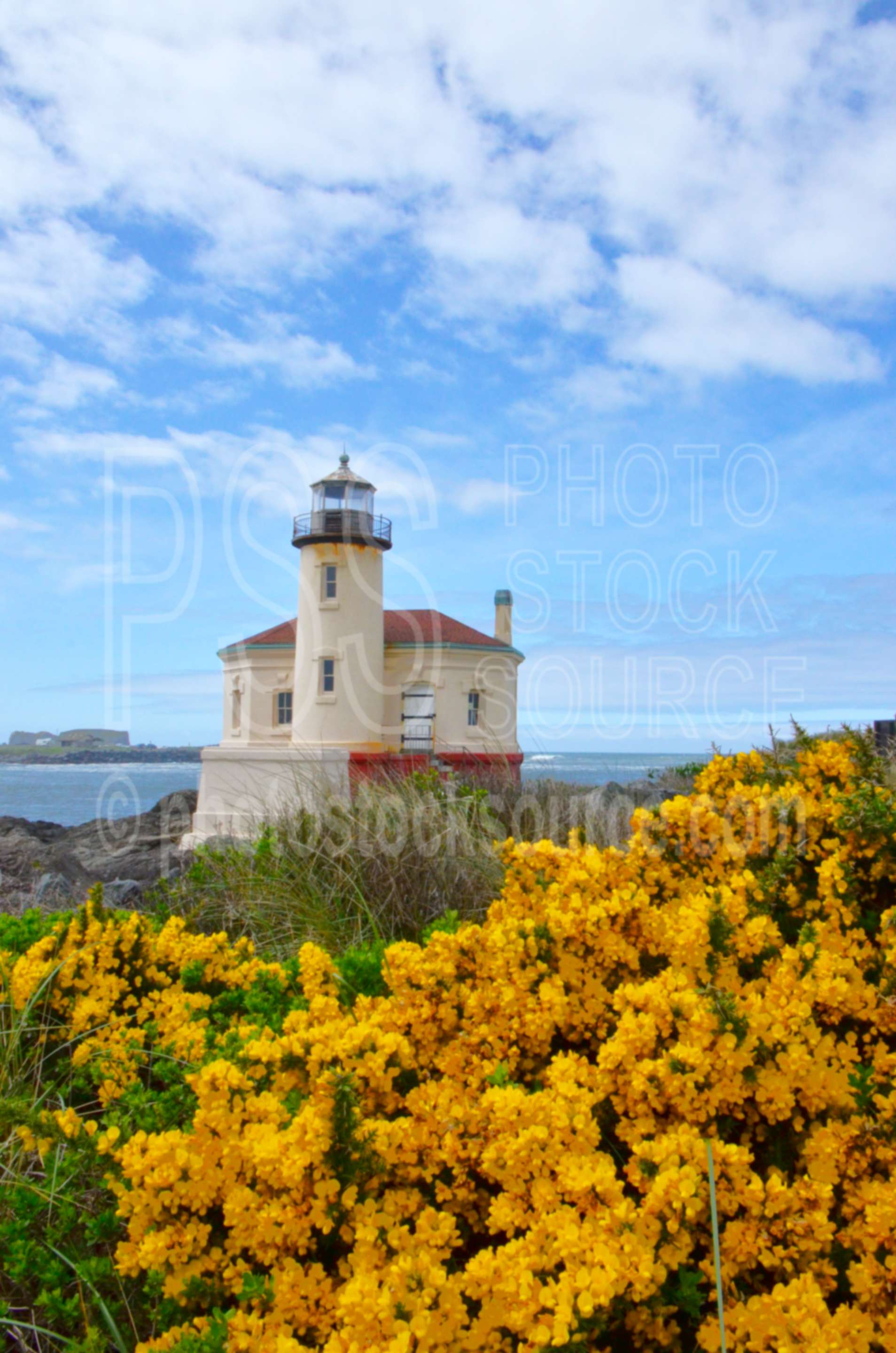 Coquille River Lighthouse ,coquille river,lighthouse,nautical,architecture,lighthouses,flower,cytisus scoparius,scotch broom