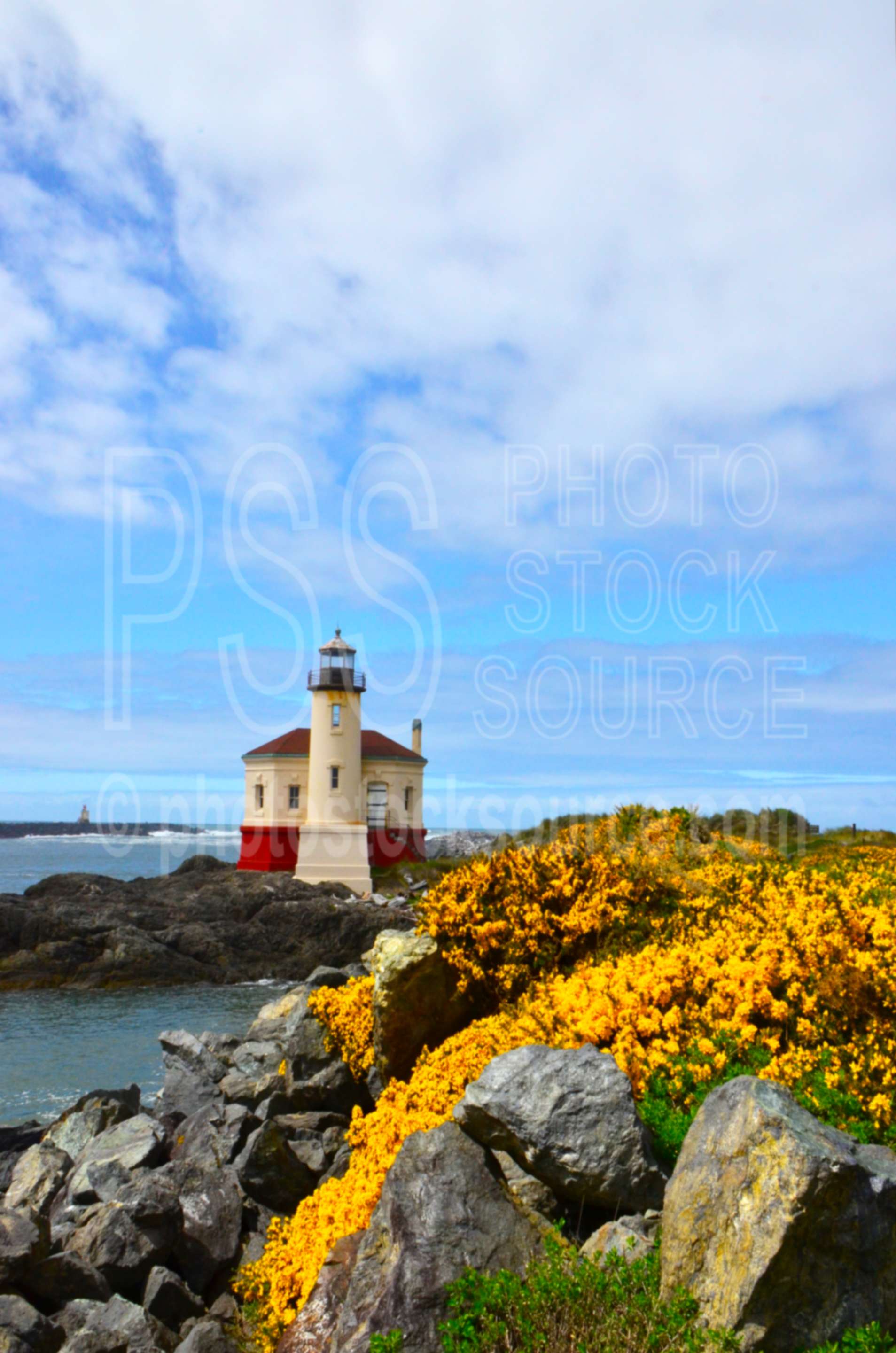 Coquille River Lighthouse ,coquille river,lighthouse,nautical,architecture,lighthouses,flower,cytisus scoparius,scotch broom,jetty,rocks