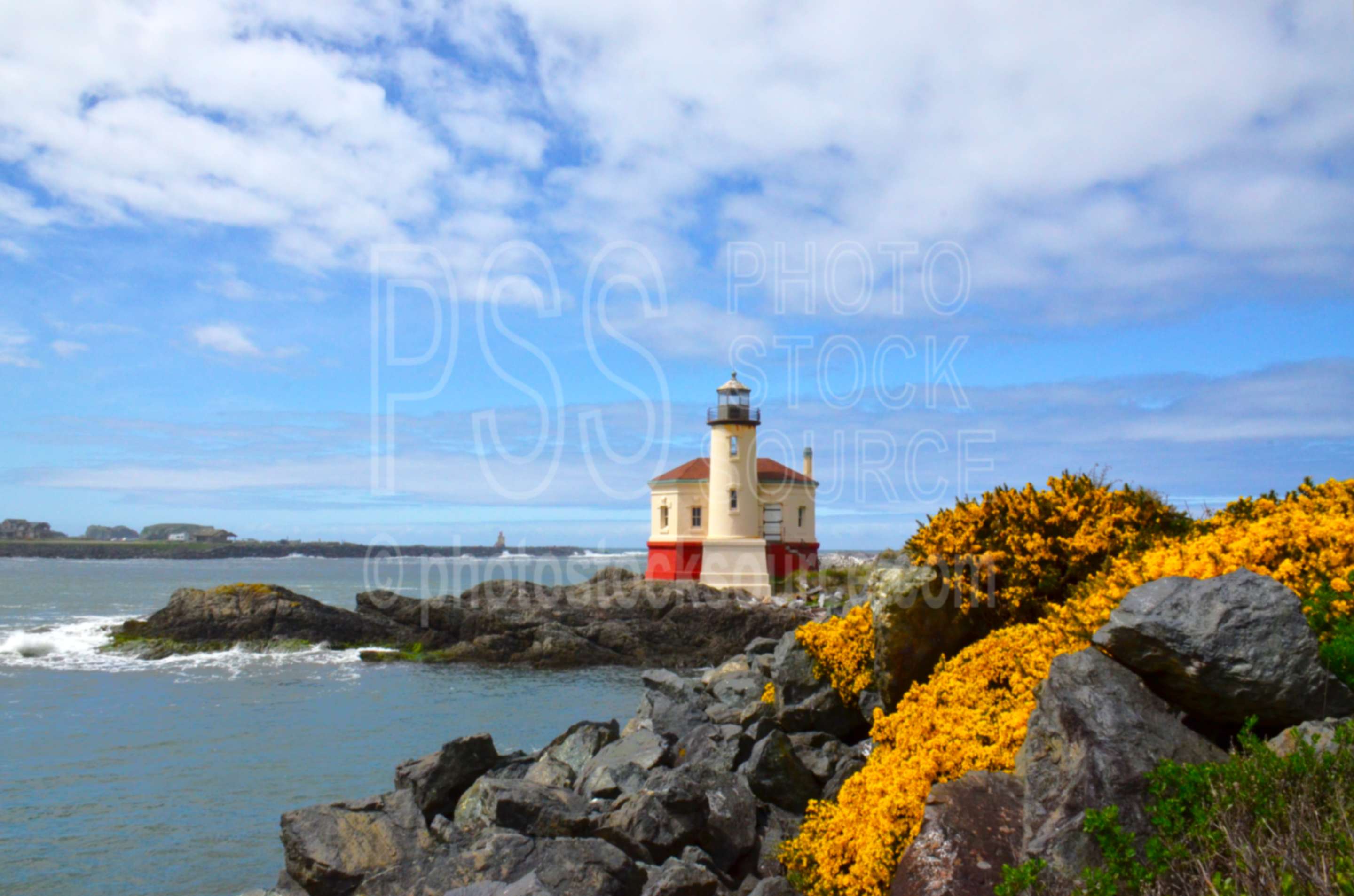 Coquille River Lighthouse ,coquille river,lighthouse,nautical,architecture,lighthouses,flower,cytisus scoparius,scotch broom,jetty,rocks