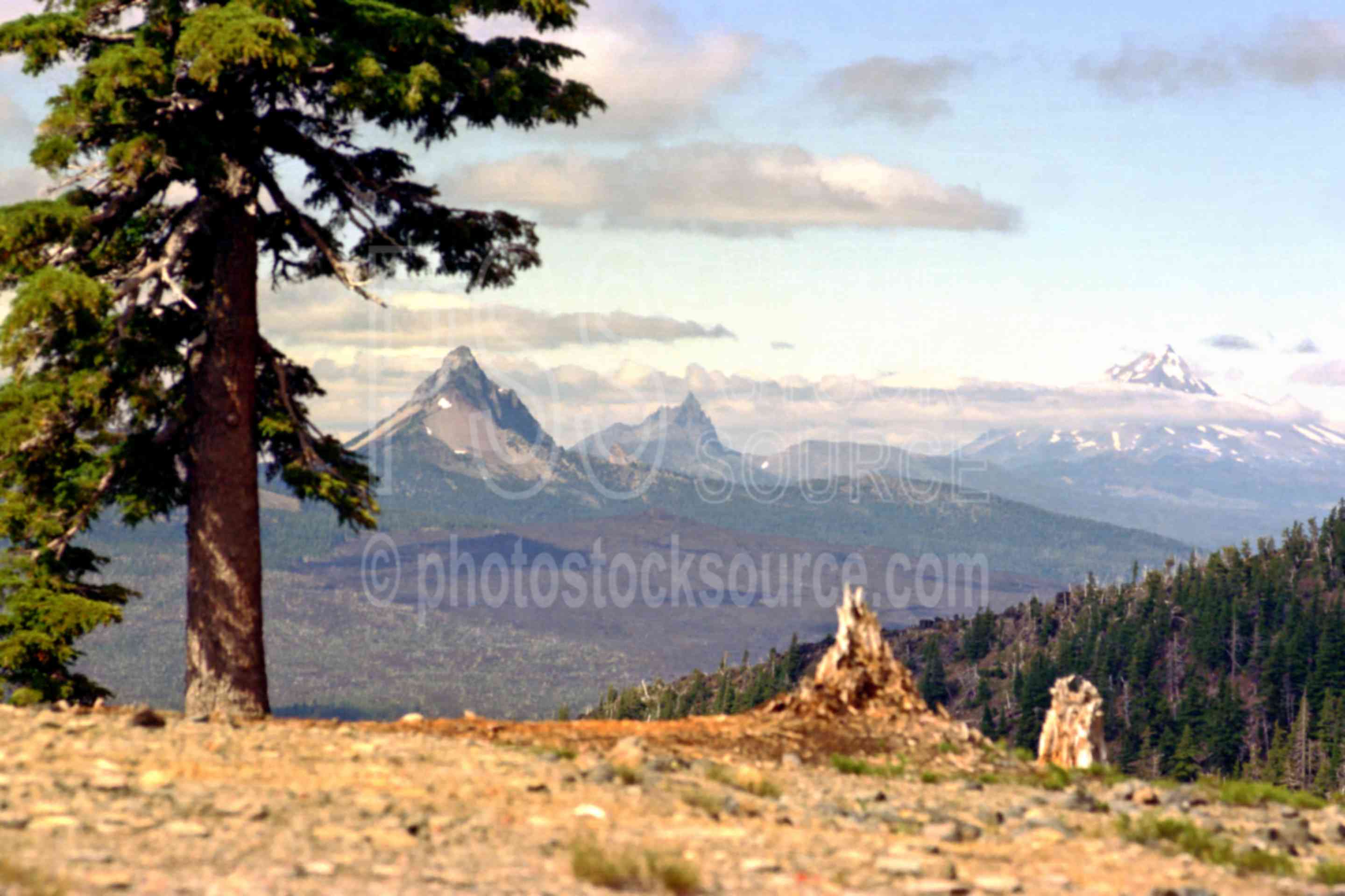 Mt. Washington,Jack, Jeff,mt. jefferson,mt. washington,three fingered jack,mount,arrowhead lake,three sisters wilderness,usas,lakes rivers,mountains