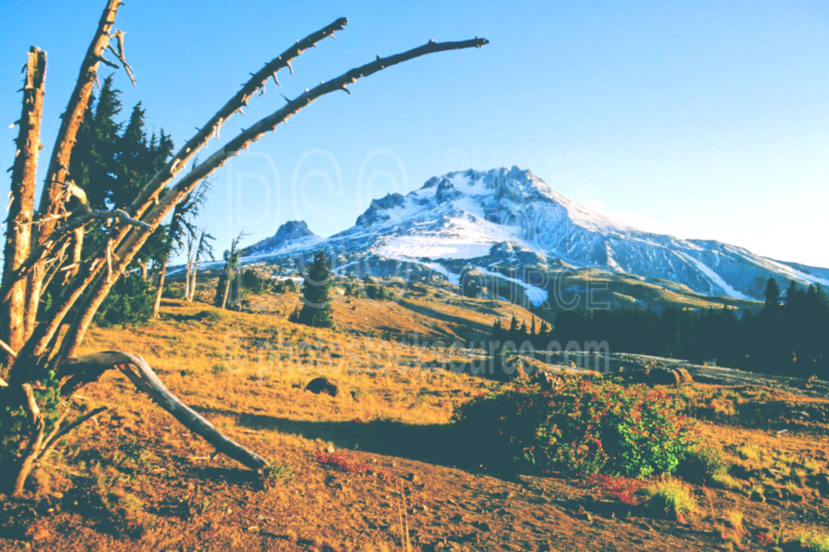 Mt. Hood,sunrise,timberline lodge,mount,usas,mountains