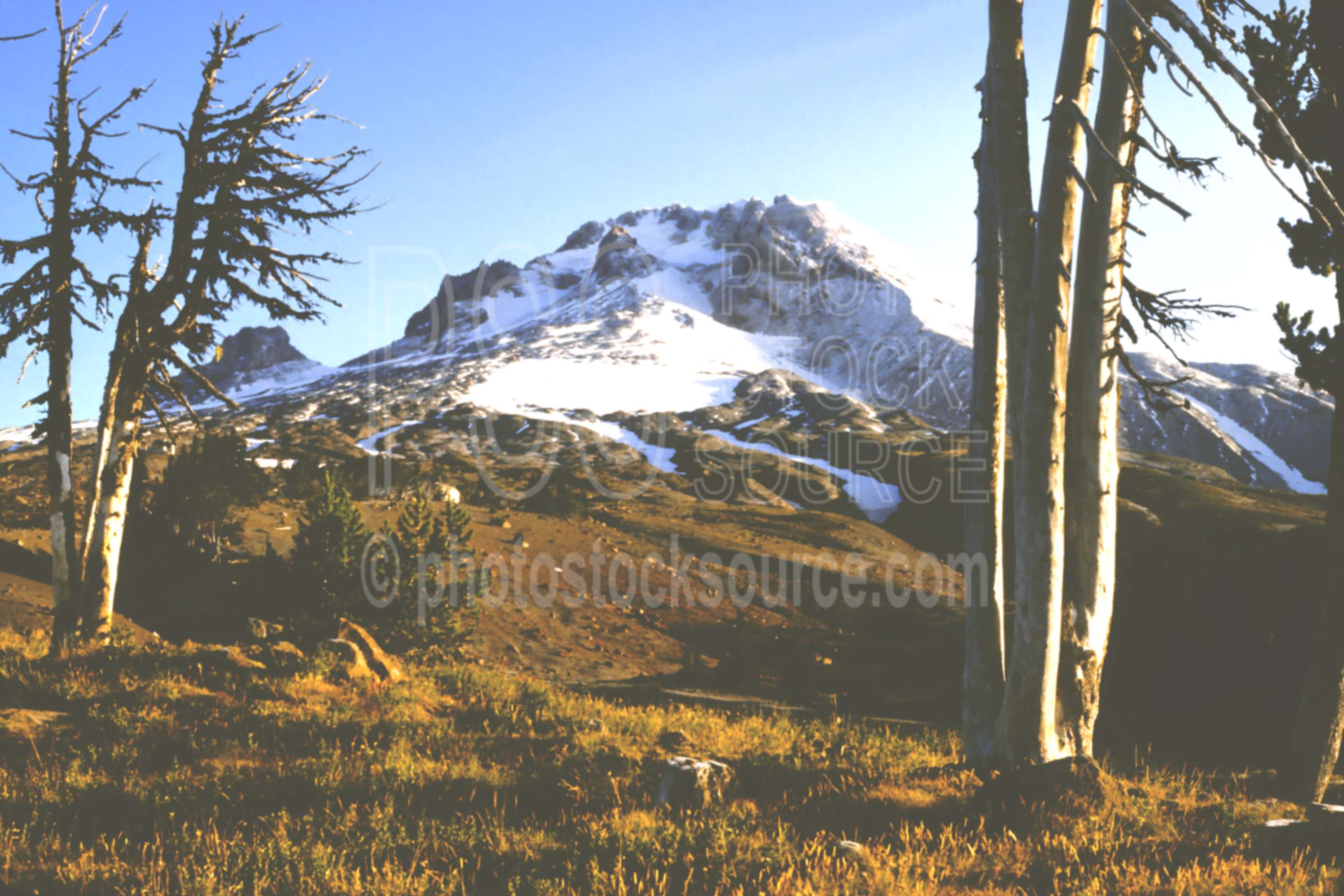 Mt. Hood,timberline lodge,mount,usas,mountains