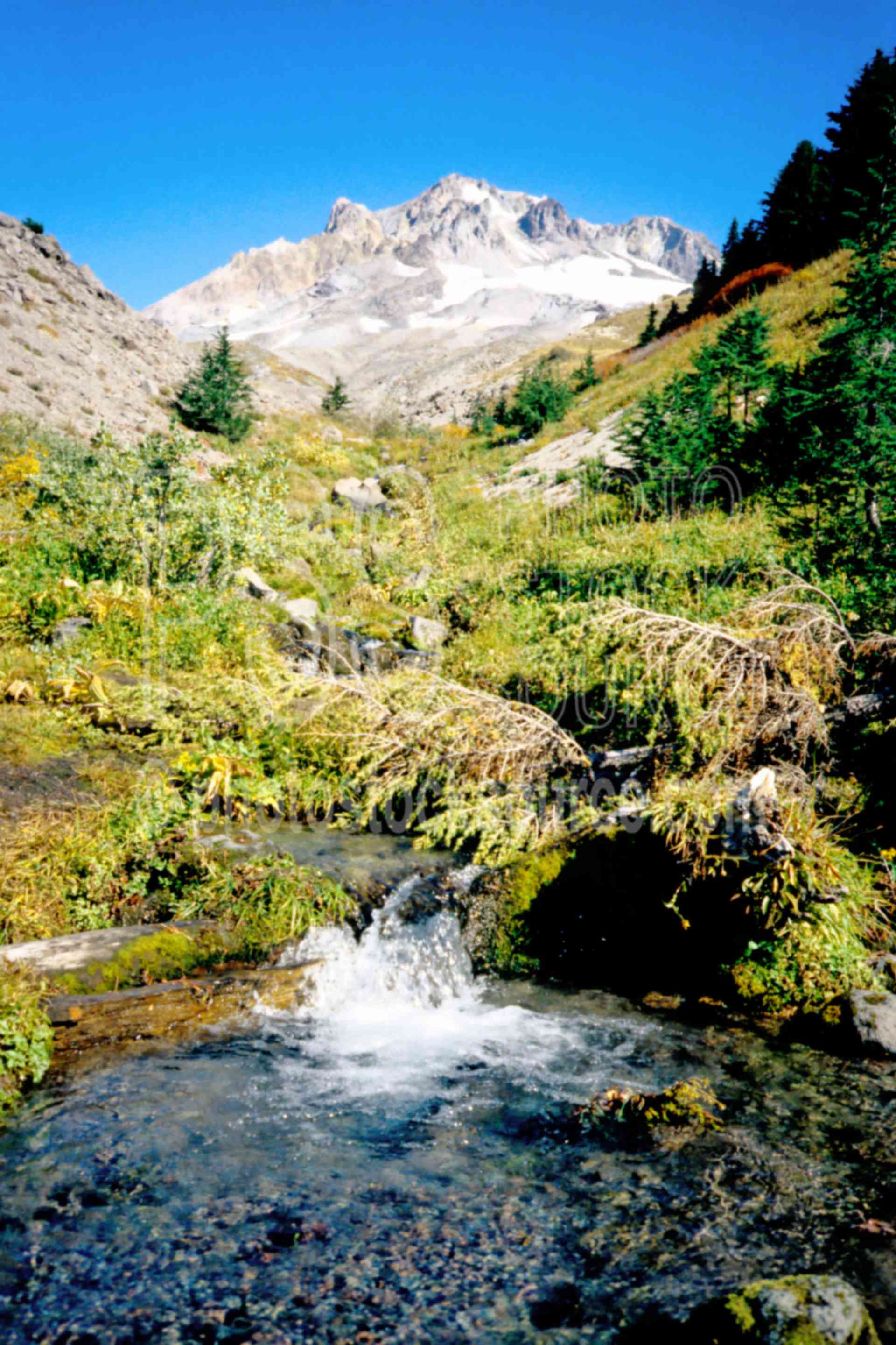 Mt. Hood Stream,creek,mount,usas,mountains