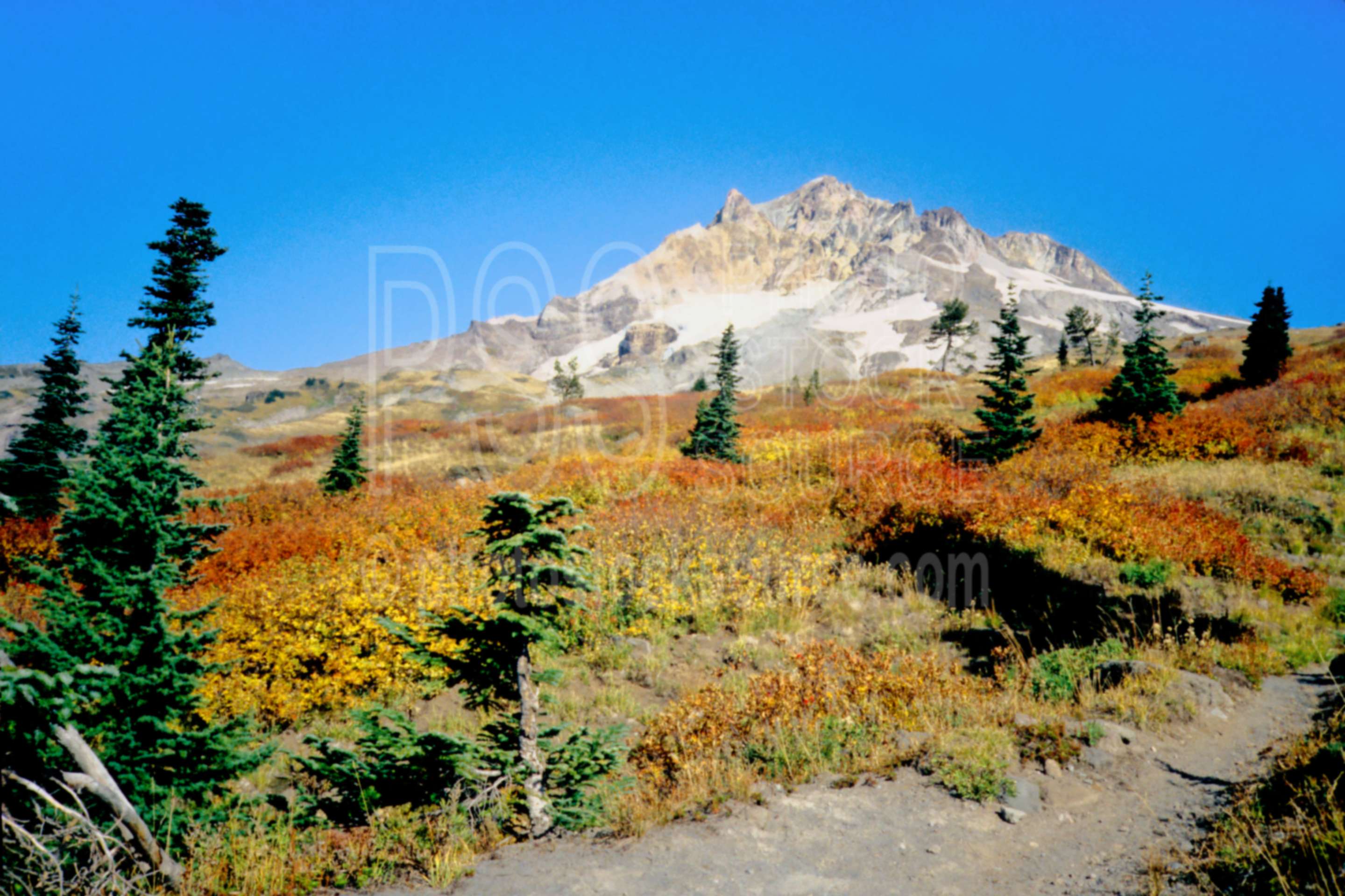 Mt. Hood Fall Colors,fall colors,mount,autumn,mountains