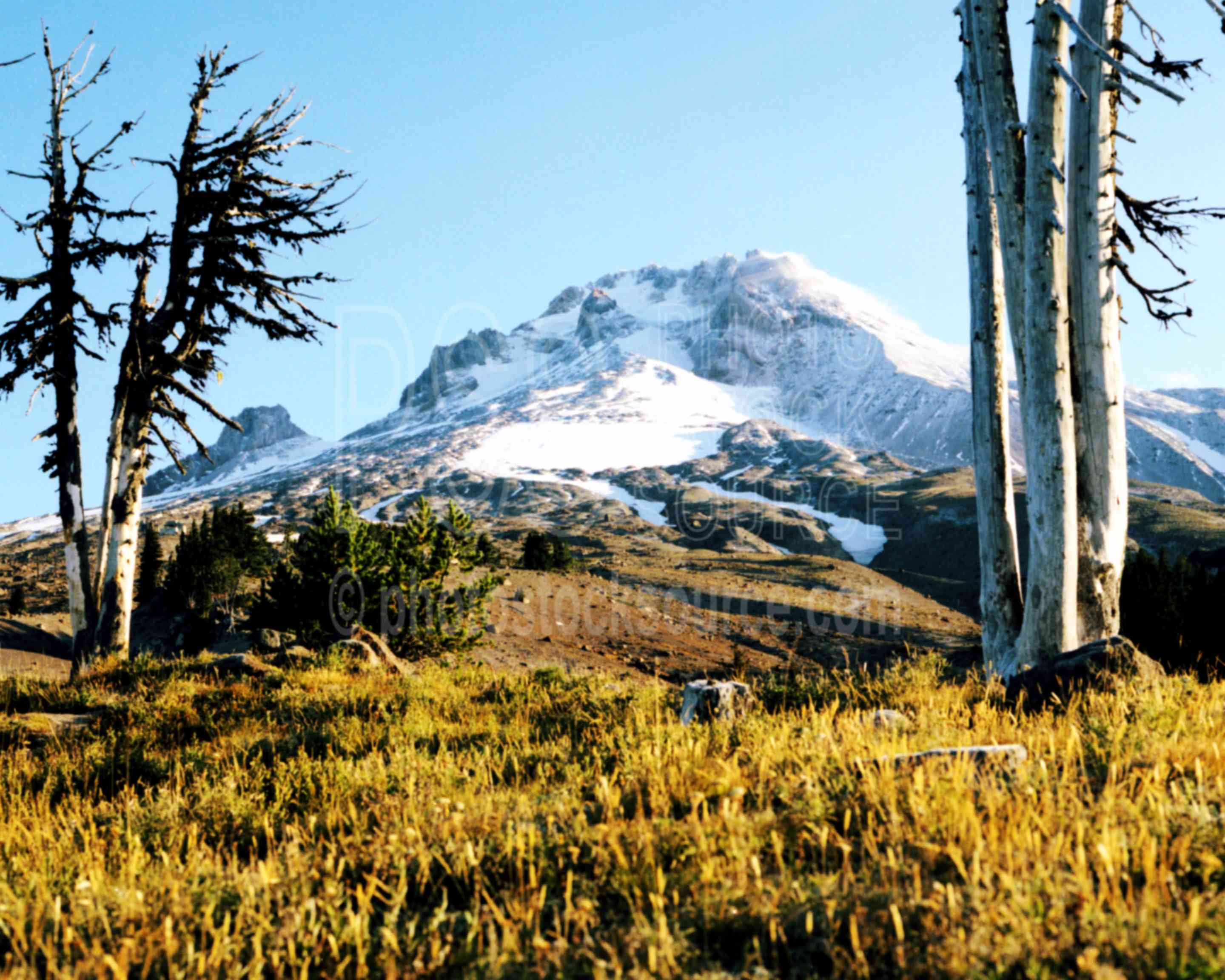 Mt. Hood from Timberline Lodge,lodge,mt. hood,timberline lodge,mount,usas,mountains