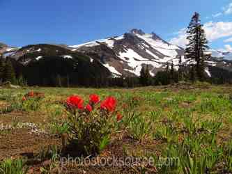 Oregon Mountains gallery
