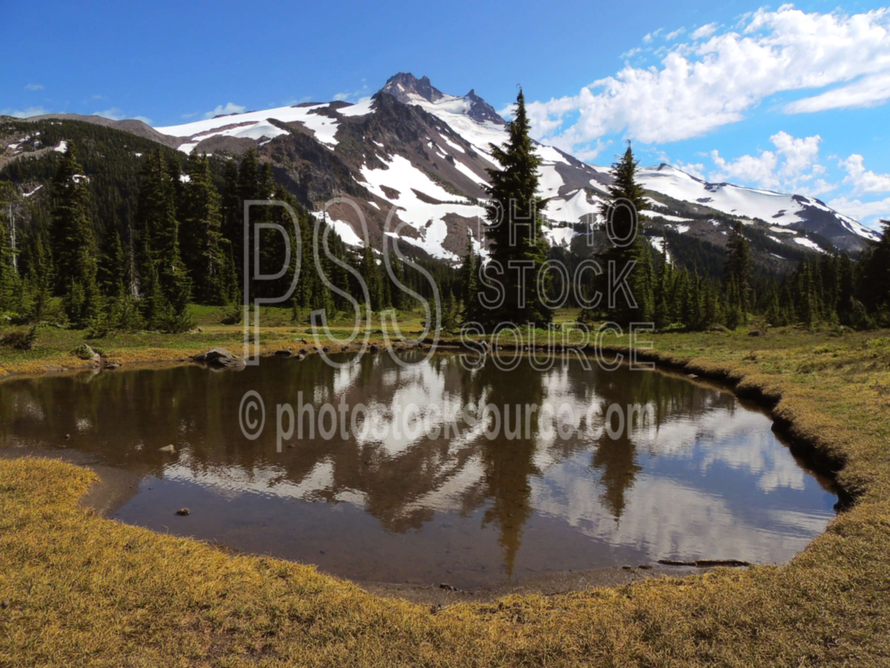 Mt. Jefferson and Pond,wilderness,wildflowers,lake,pond