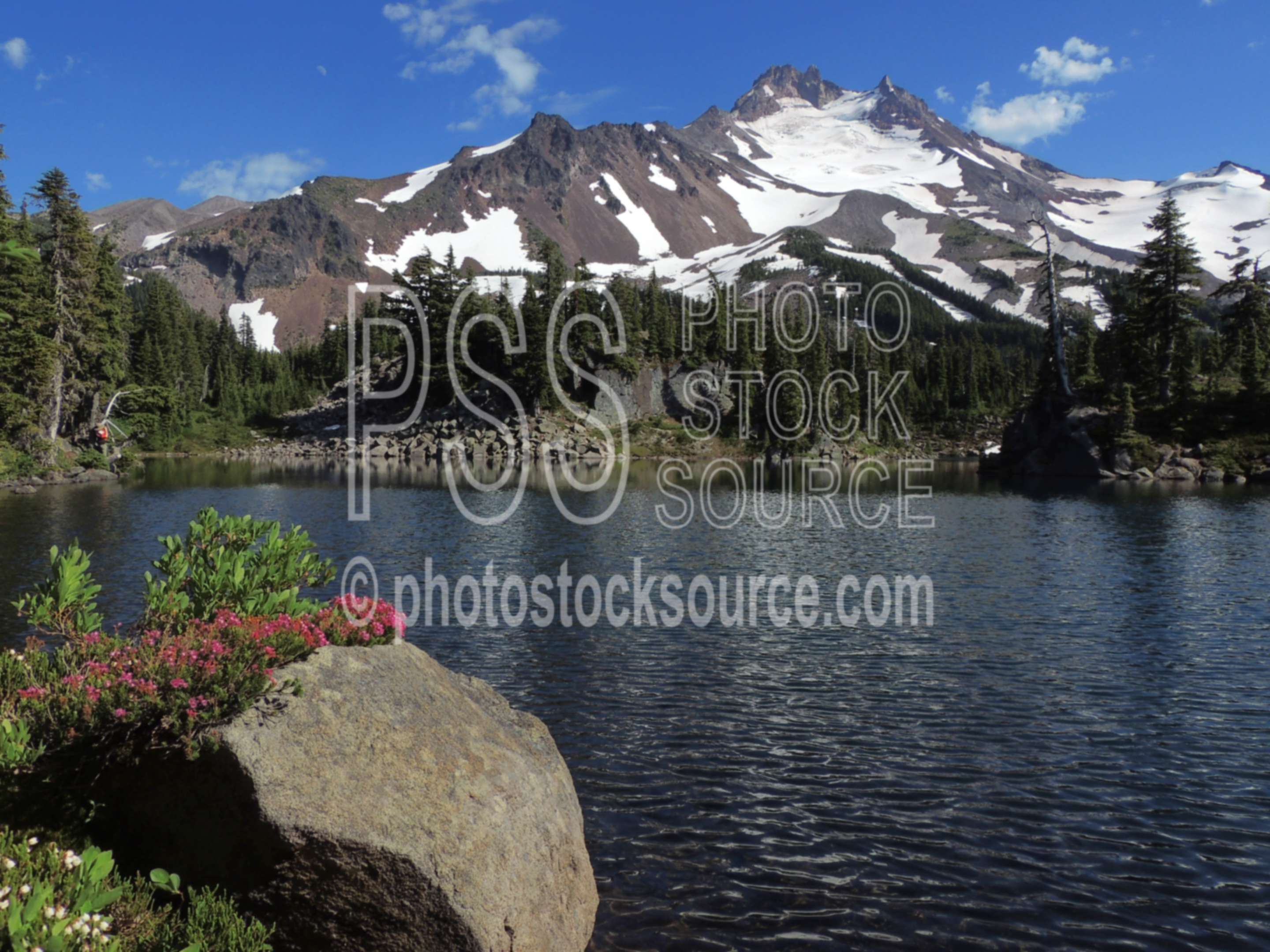 Mt. Jefferson and Bays Lake,wilderness,mt. jefferson,bays lake,jeff park,wildflowers