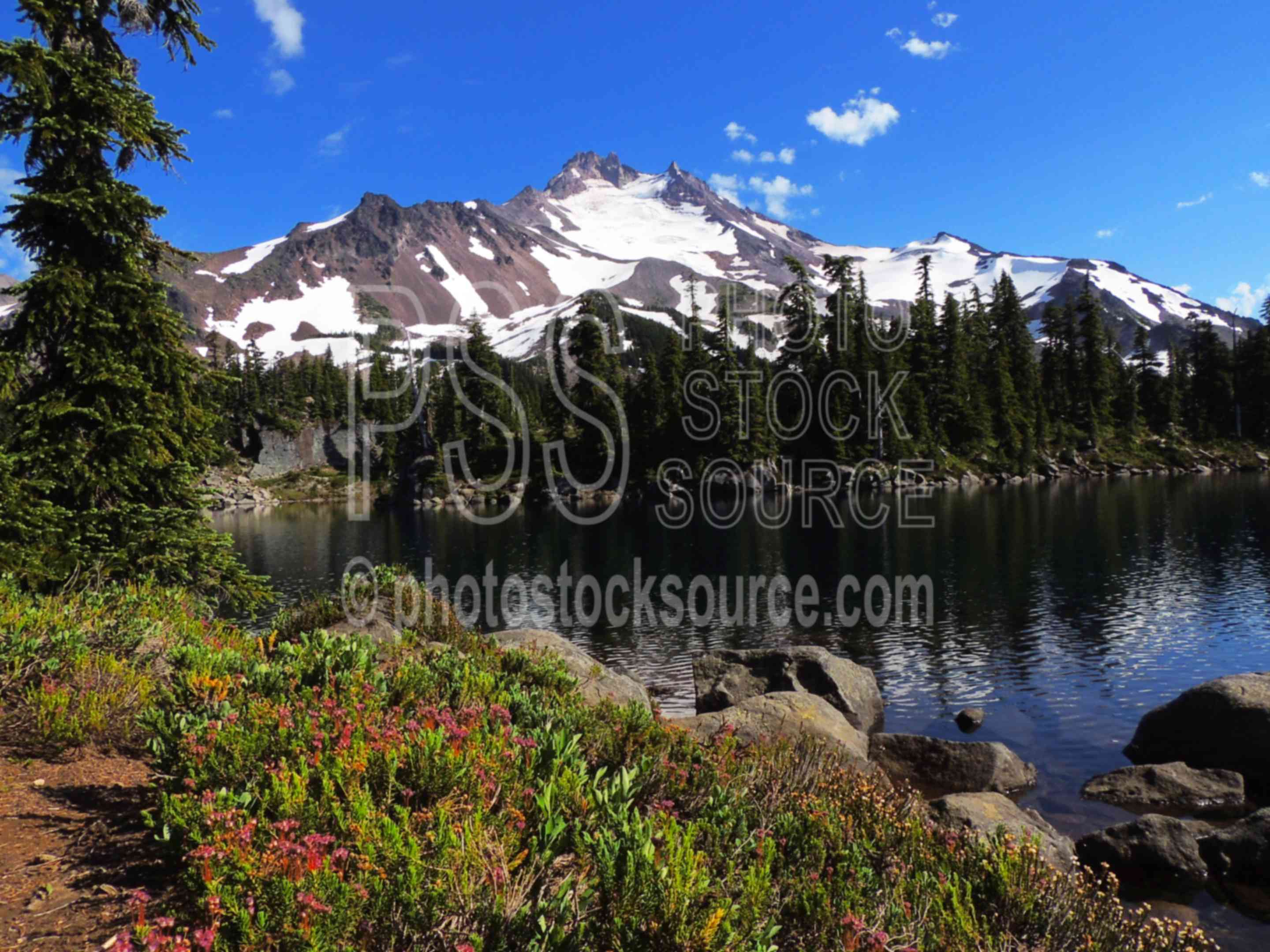 Mt. Jefferson and Bays Lake,wilderness,mt. jefferson,bays lake,jeff park,wildflowers