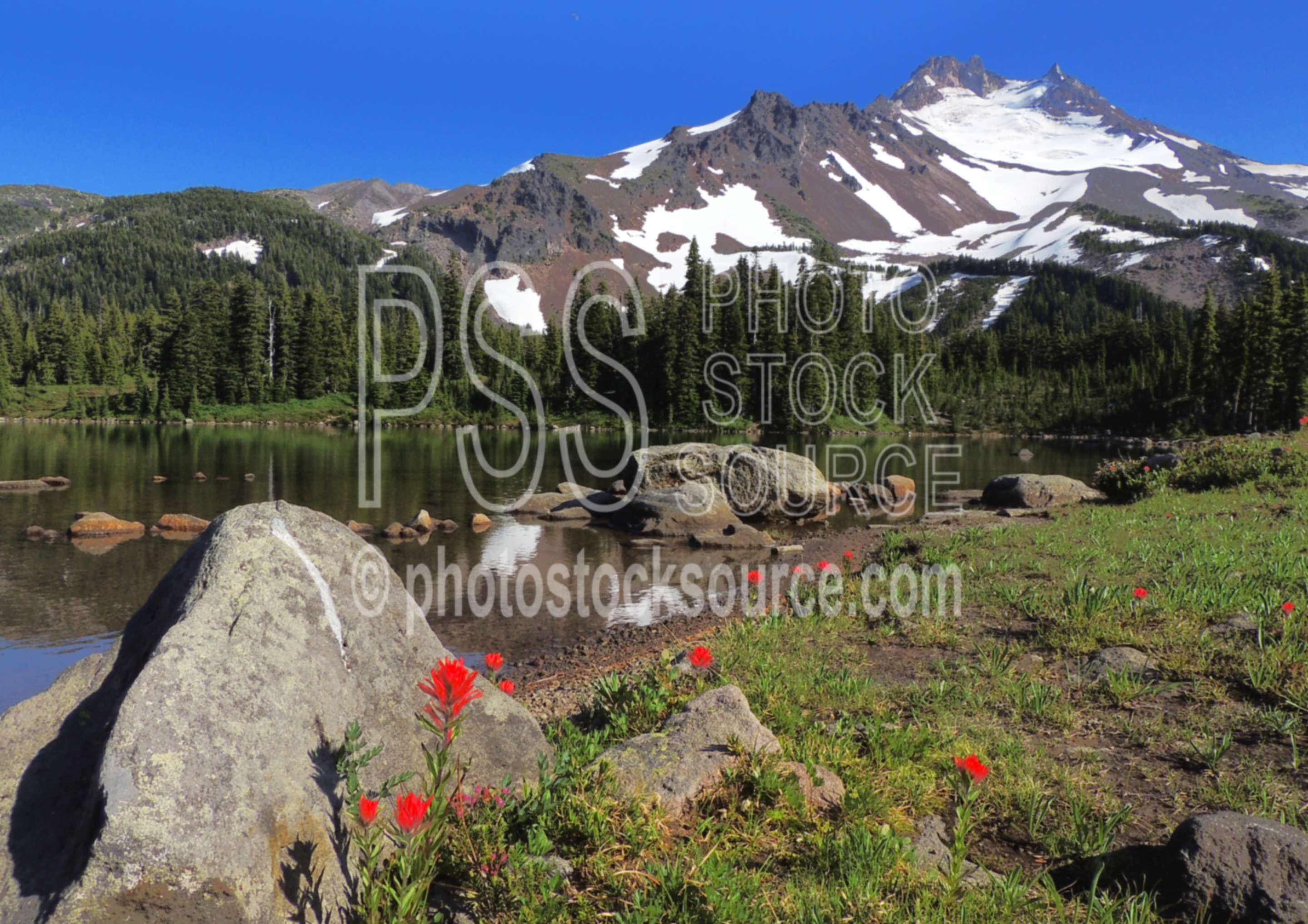 Mt. Jefferson and Small Stream,wilderness,mt. jefferson,park lake,jeff park