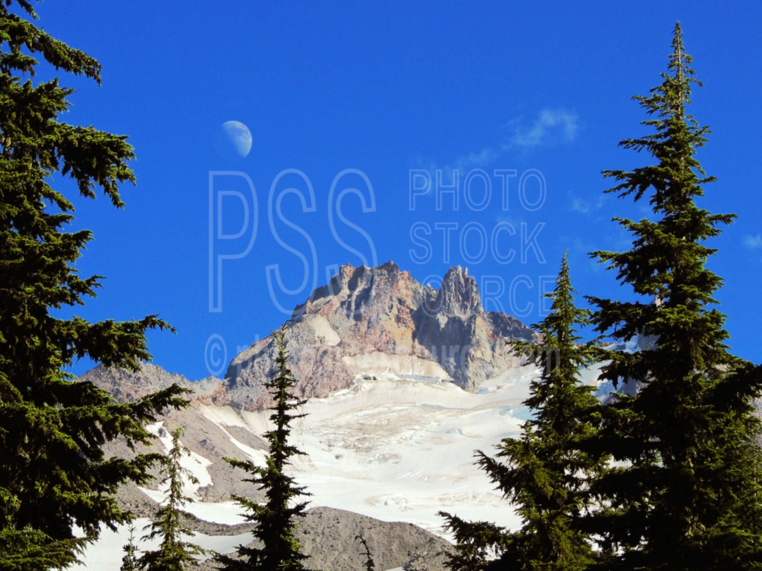 Mt. Jefferson and Moonrise,wilderness,mt. jefferson,moon,moonrise,jeff park,glacier