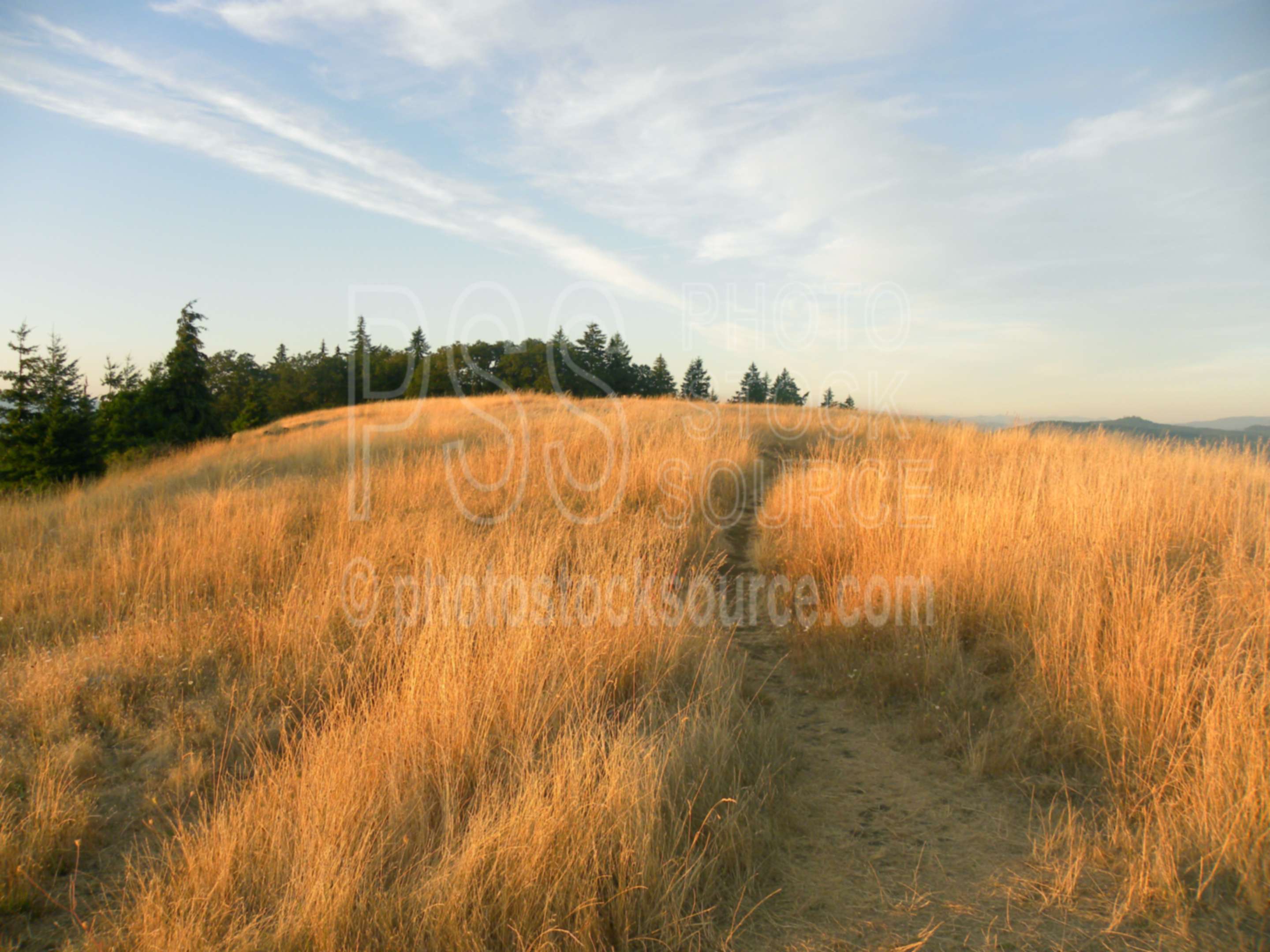 Sunset on Mt. Pisgah,grass,dry,sunset,golden