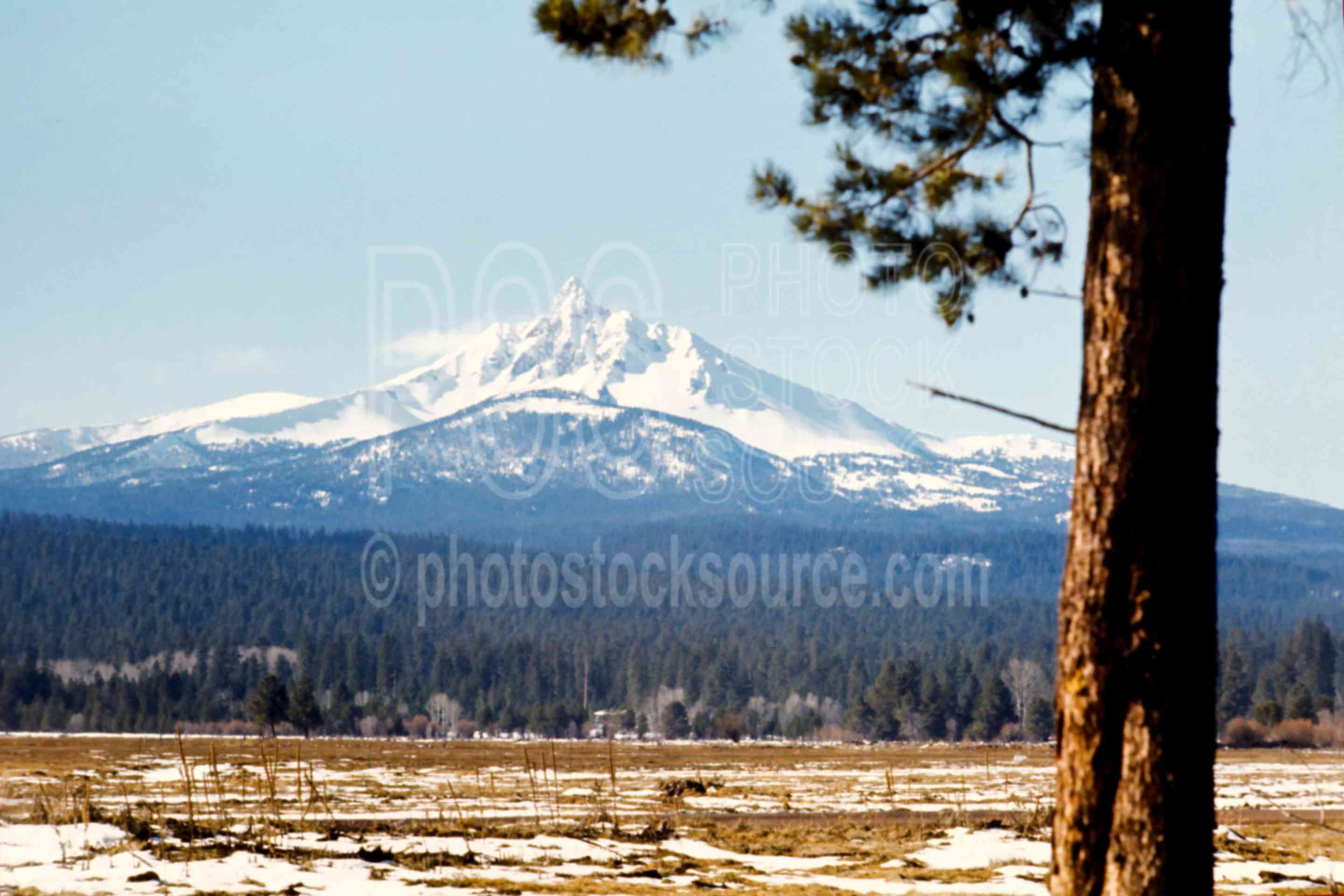 Mt. Washington,snow,mount,winter,mountains