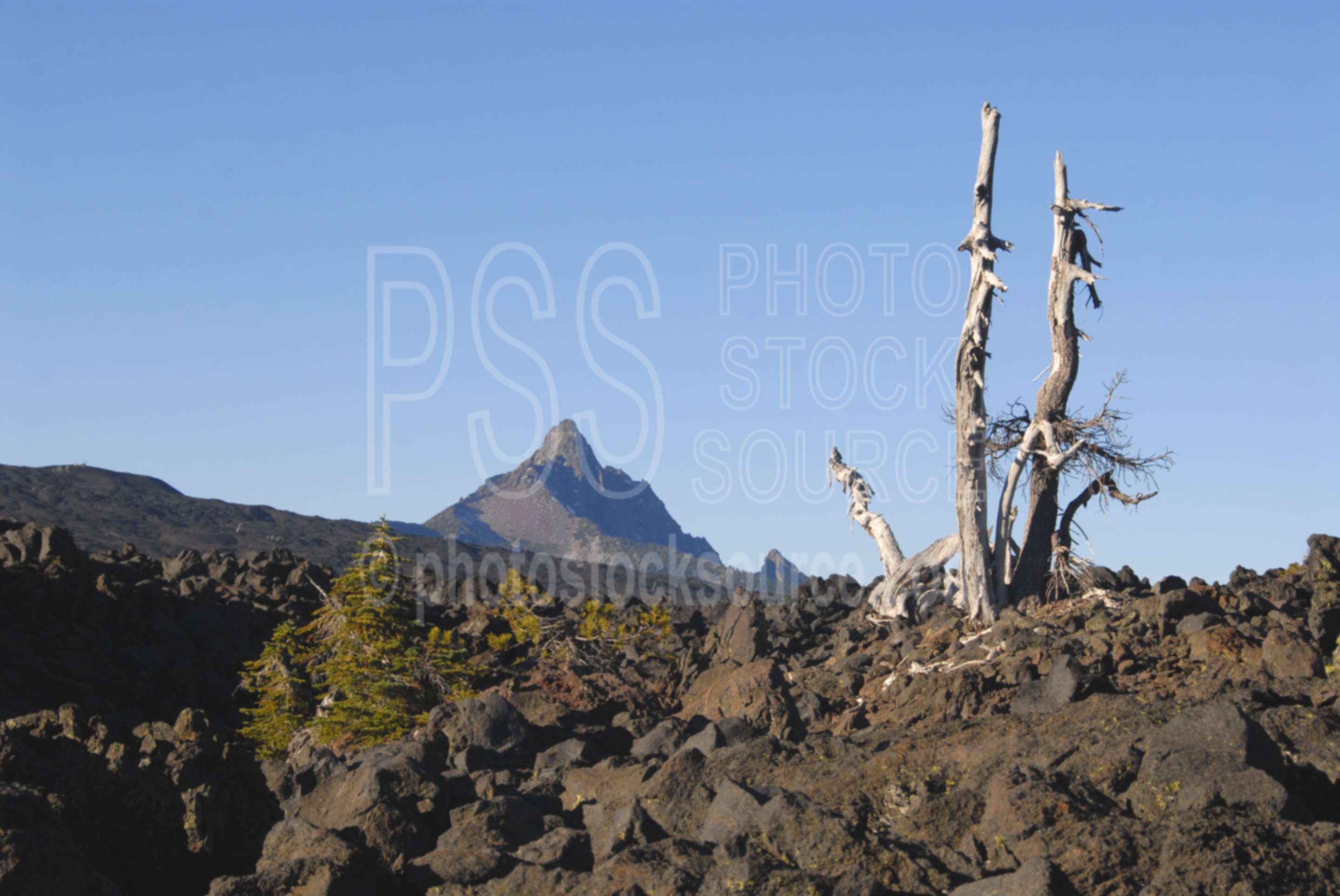 Mt. Washington,mt washington,dee wright observatory,memorial,lava,lava beds,mountains