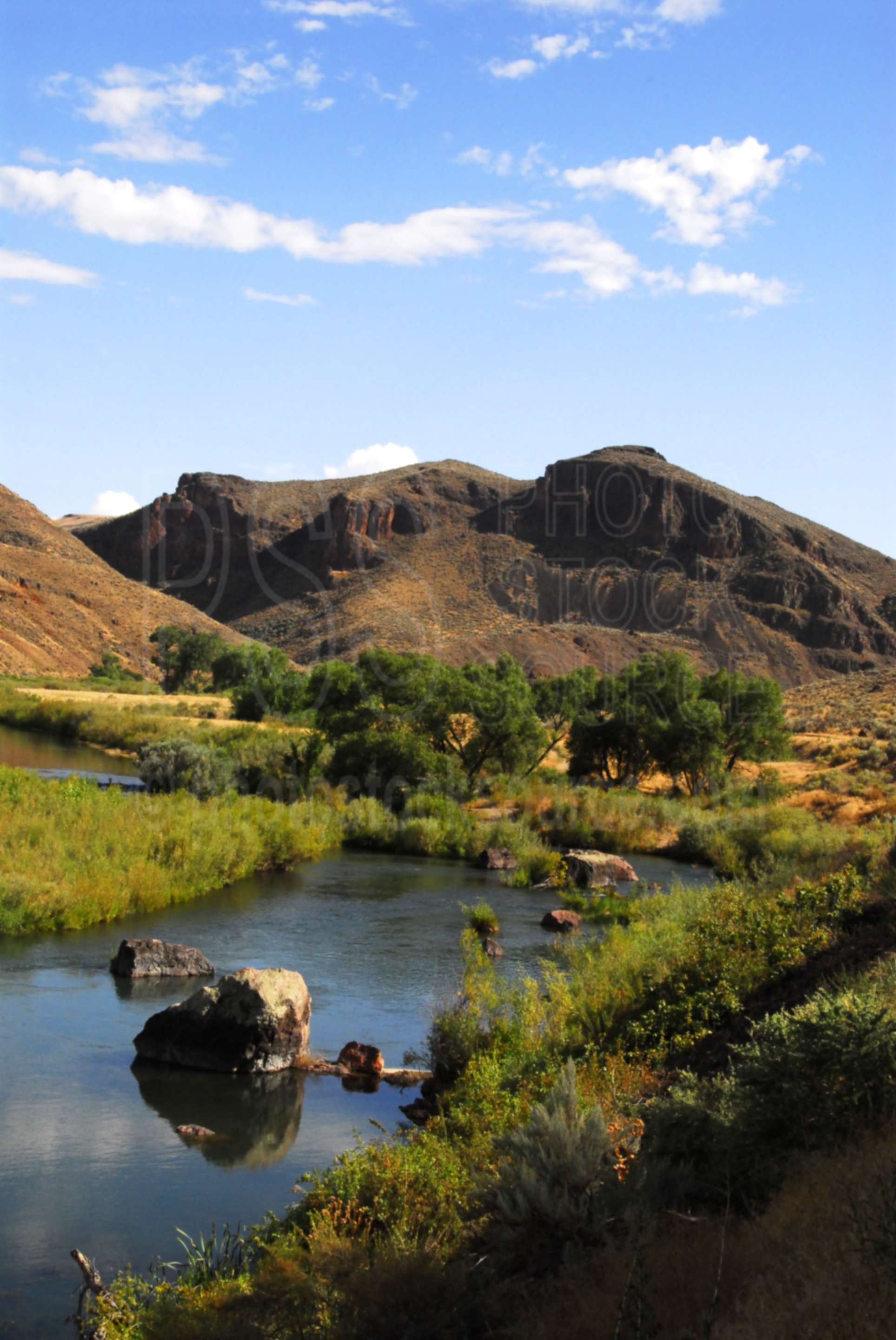 Owyhee River,river,owyhee,desert,gorge