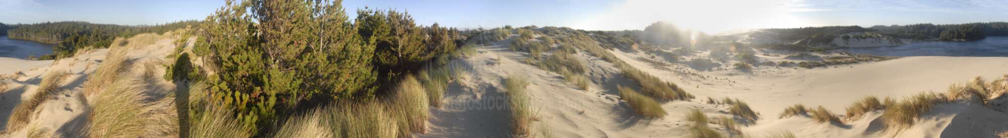 Cleawox Lake Dunes