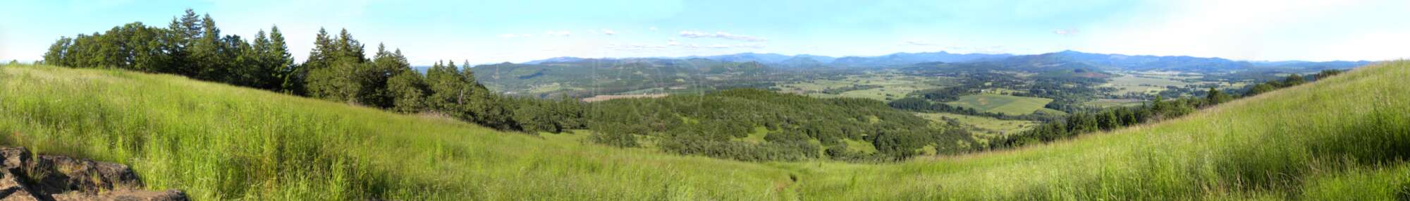 From Mt. Pisgah