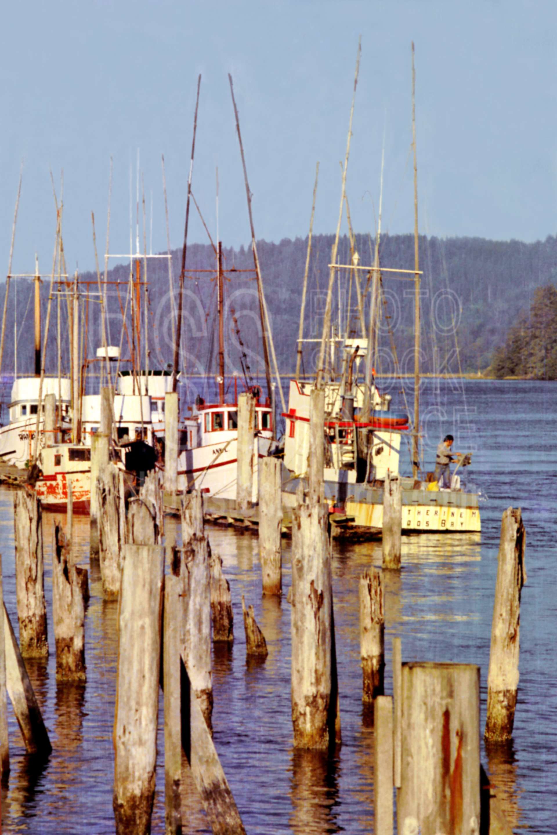 Fishingboats,dock,fishing boat,harbor,river,siuslaw river,usas,lakes rivers,boats