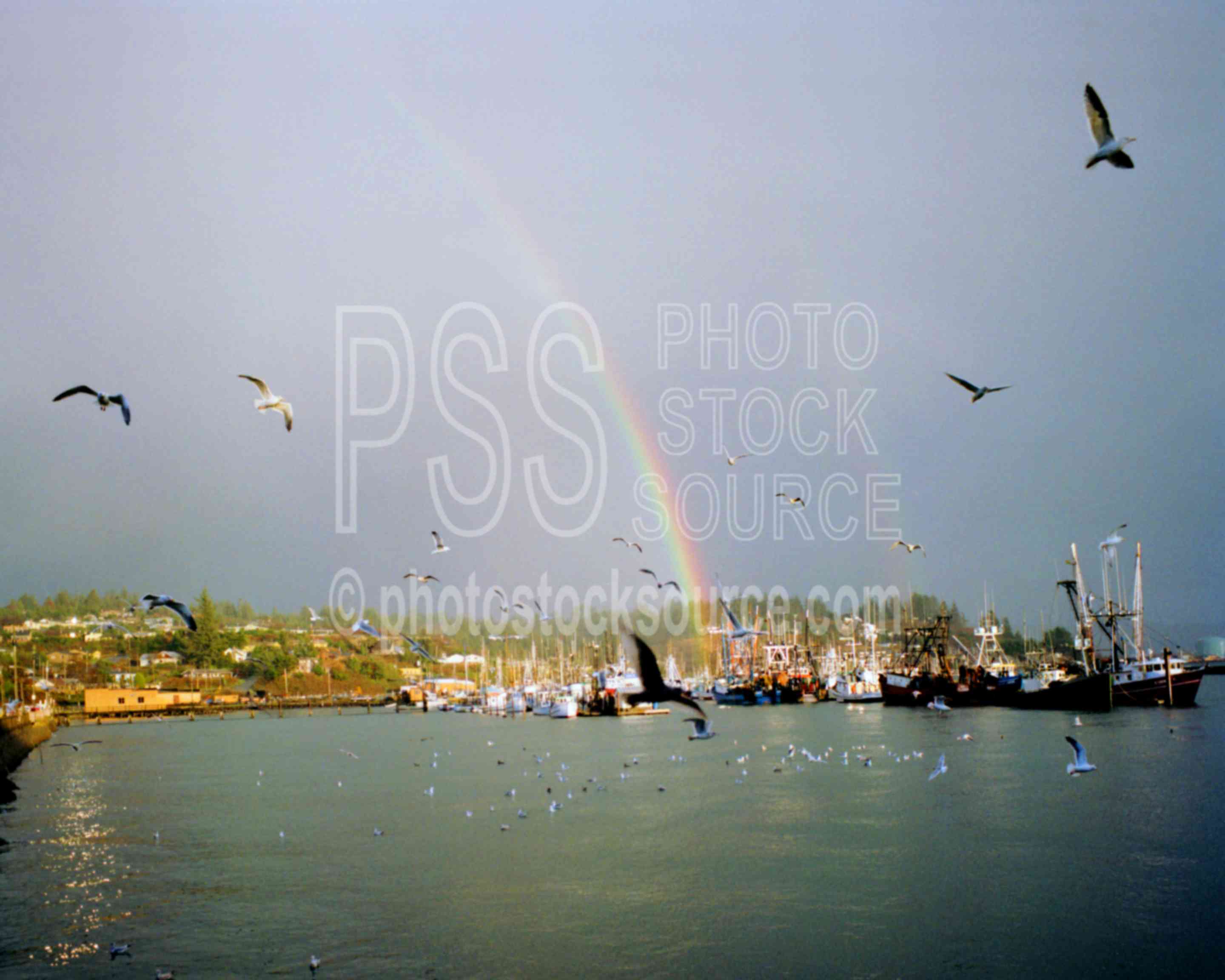 Bay Rainbow,bays,boat,gull,harbor,rainbow,seagull,sun moon sky,seascapes,coast