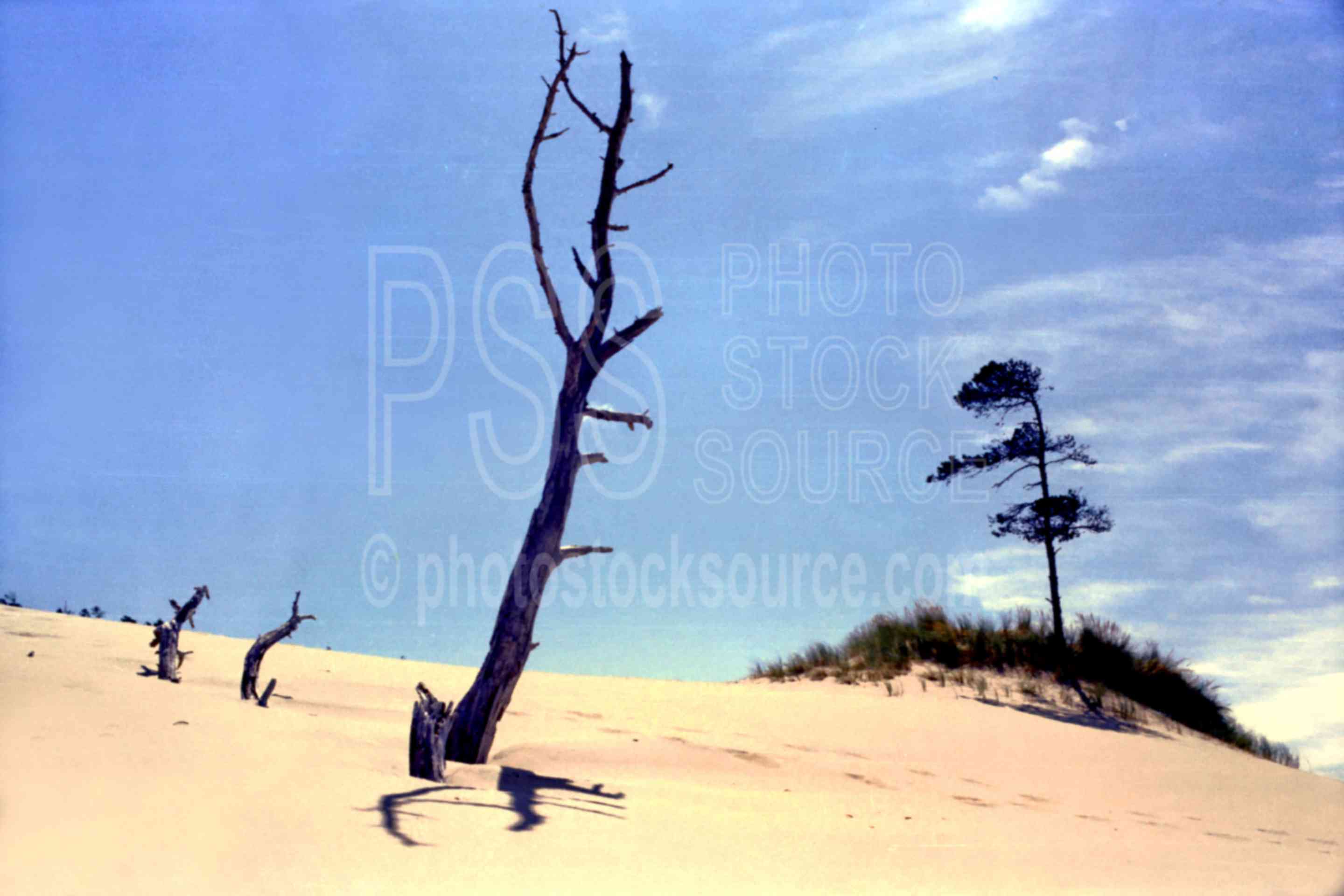 Dune Island,dune,sand,sand dune,usas,nature,seascapes,coast