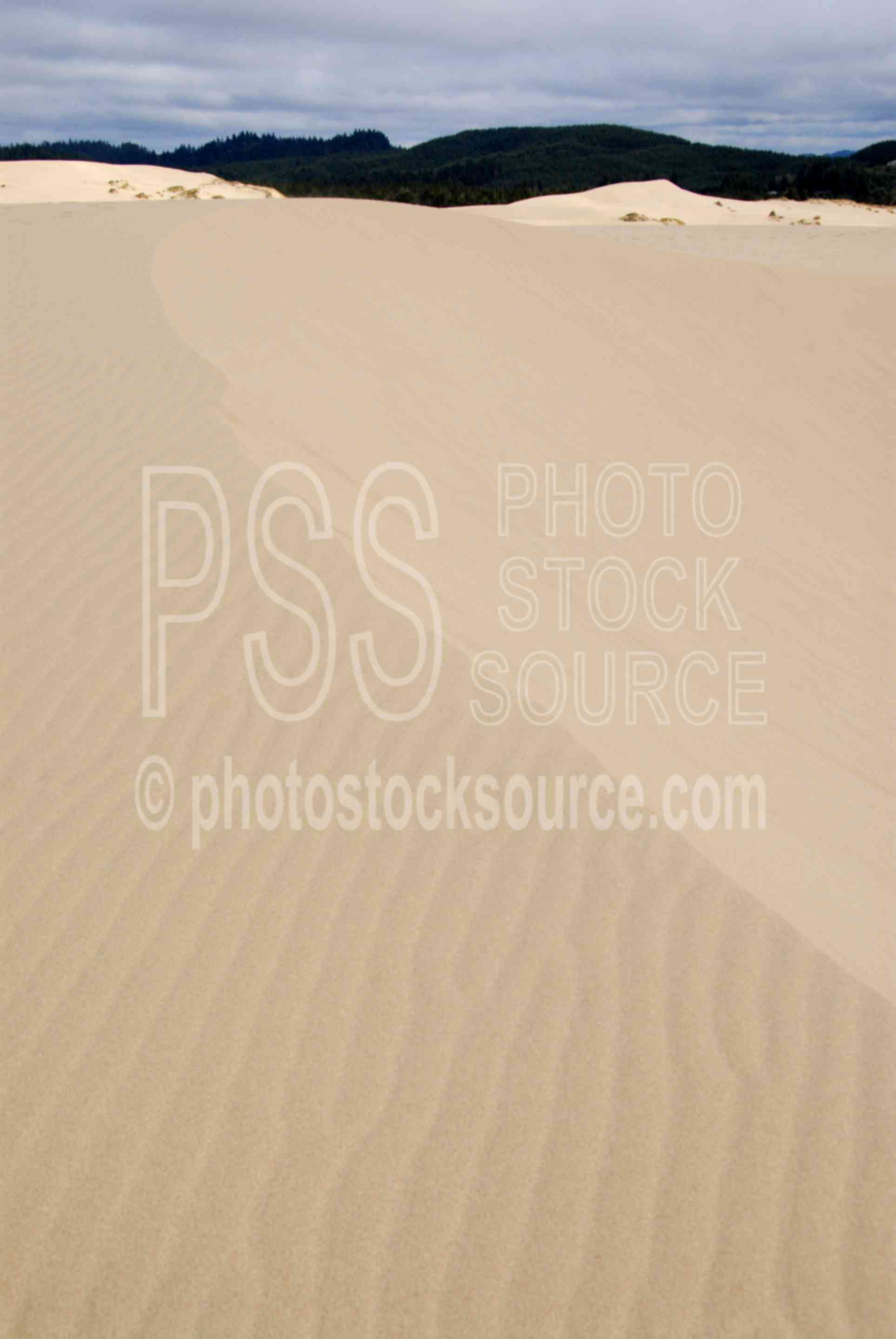 Dune Designs,sand,dune,design,wind,erosion,nature