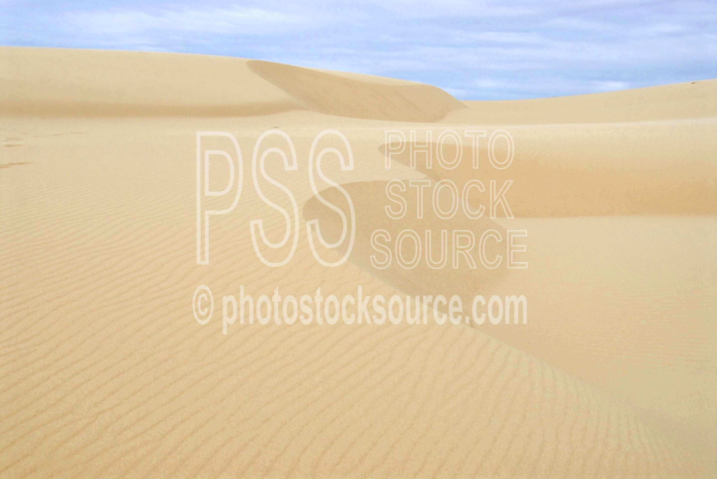 Wind Blown Dunes,sand,dune,dunes,wind,nature