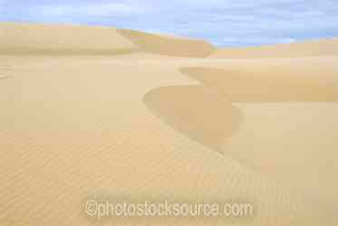 Oregon Sand Dunes gallery