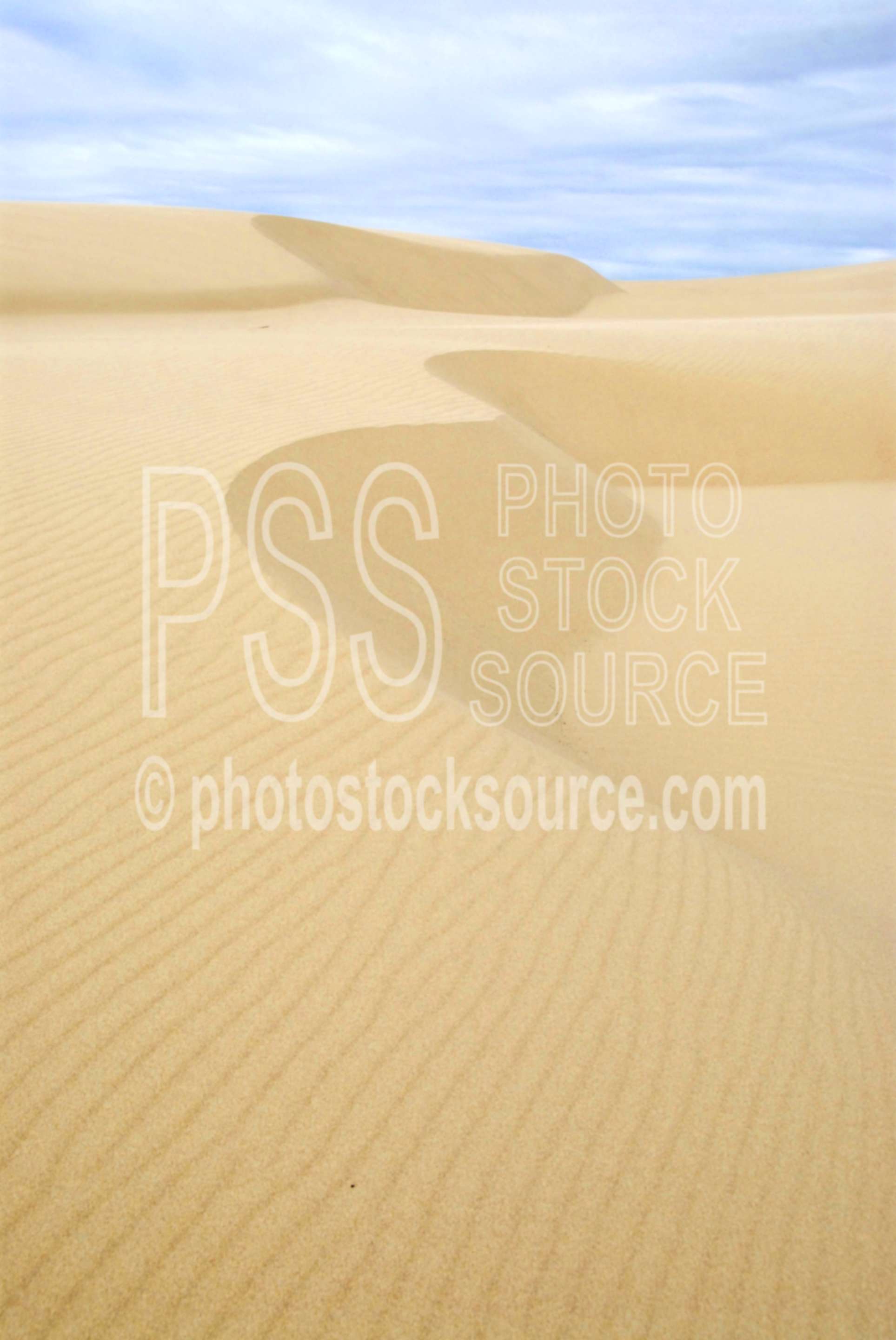 Wind Blown Dunes,sand,dune,dunes,wind,nature